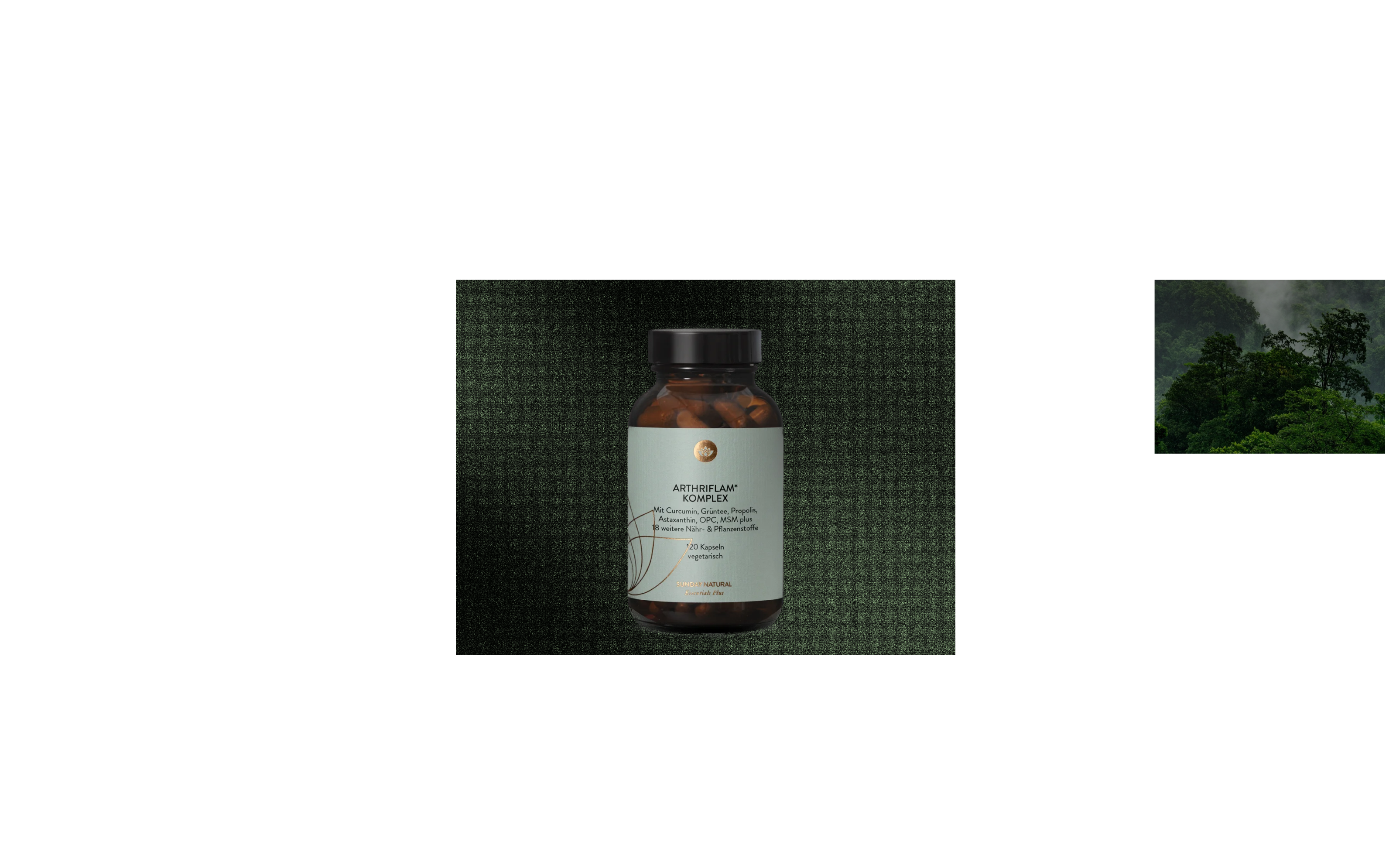 Vitamix — Изображение №1 — Интерфейсы на Dprofile