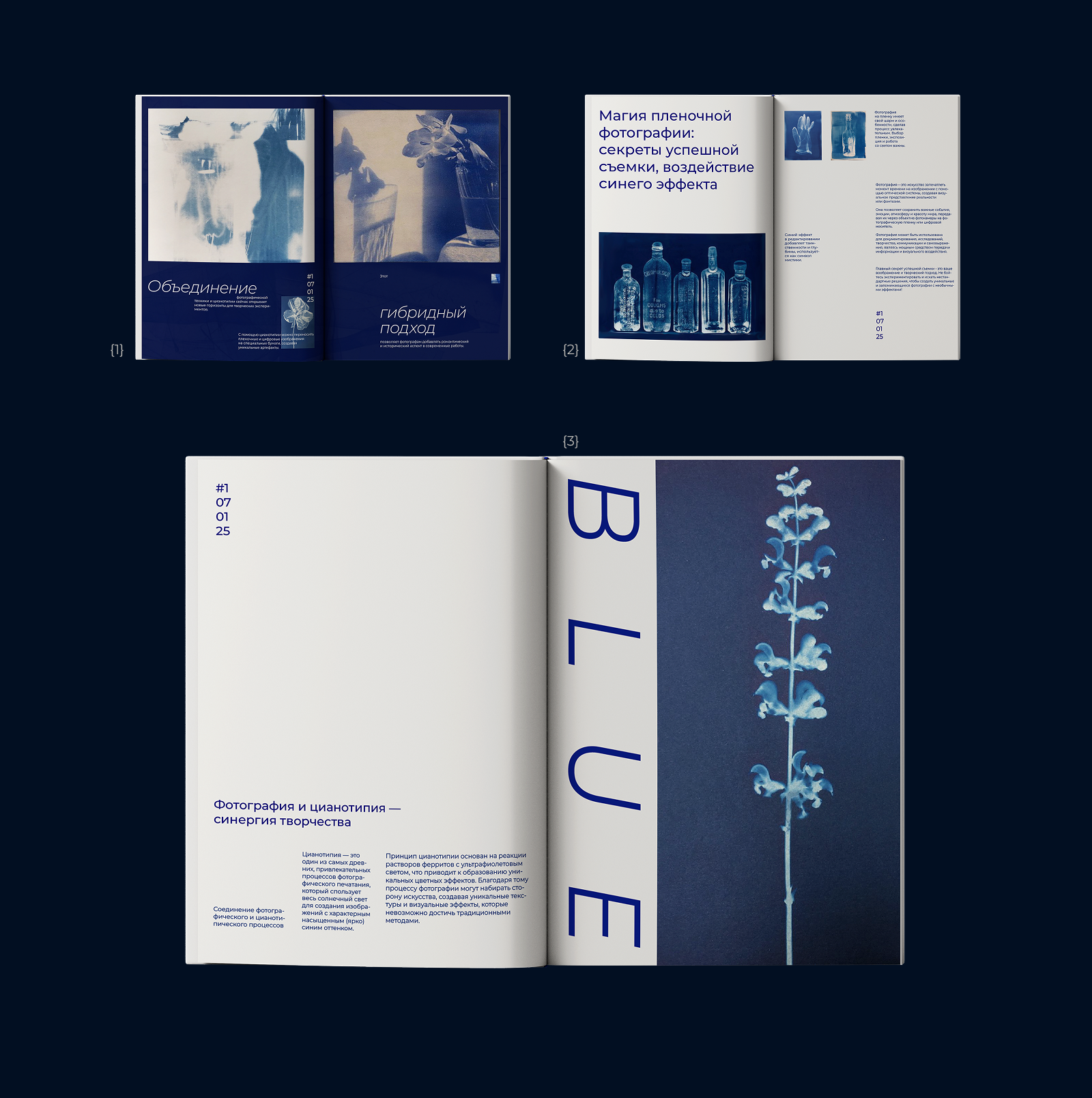 BLUE журнал (синий) — Изображение №7 — Брендинг, Графика на Dprofile