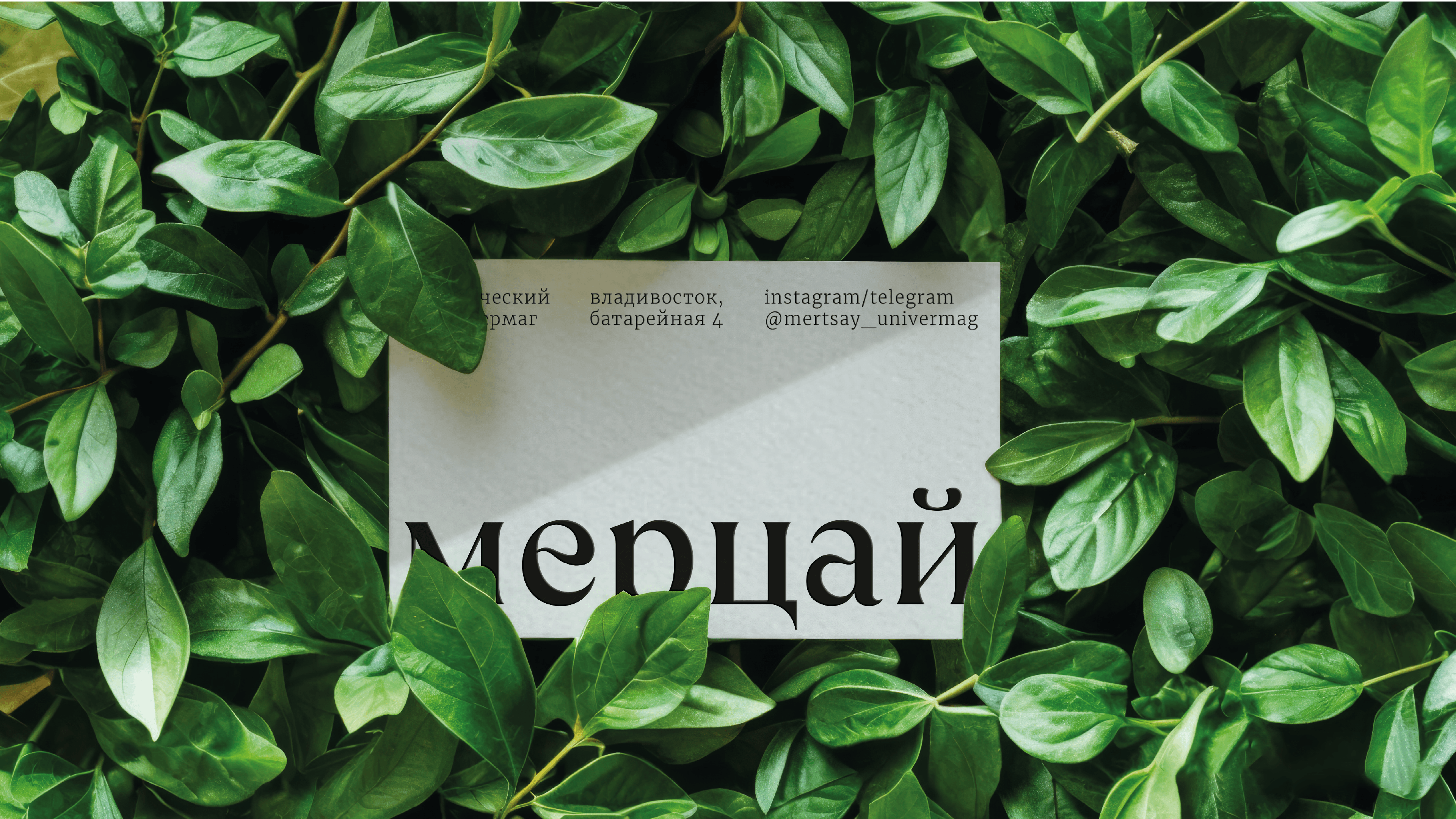 Мерцай. Магический универмаг — Изображение №8 — Брендинг на Dprofile