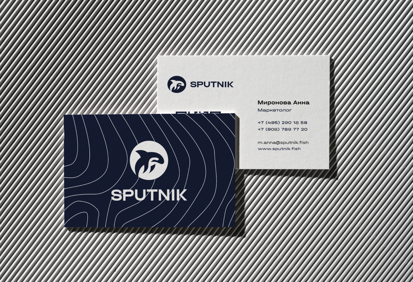 SPUTNIK • SEAFOOD EXPO RUSSIA — Изображение №4 — Брендинг на Dprofile