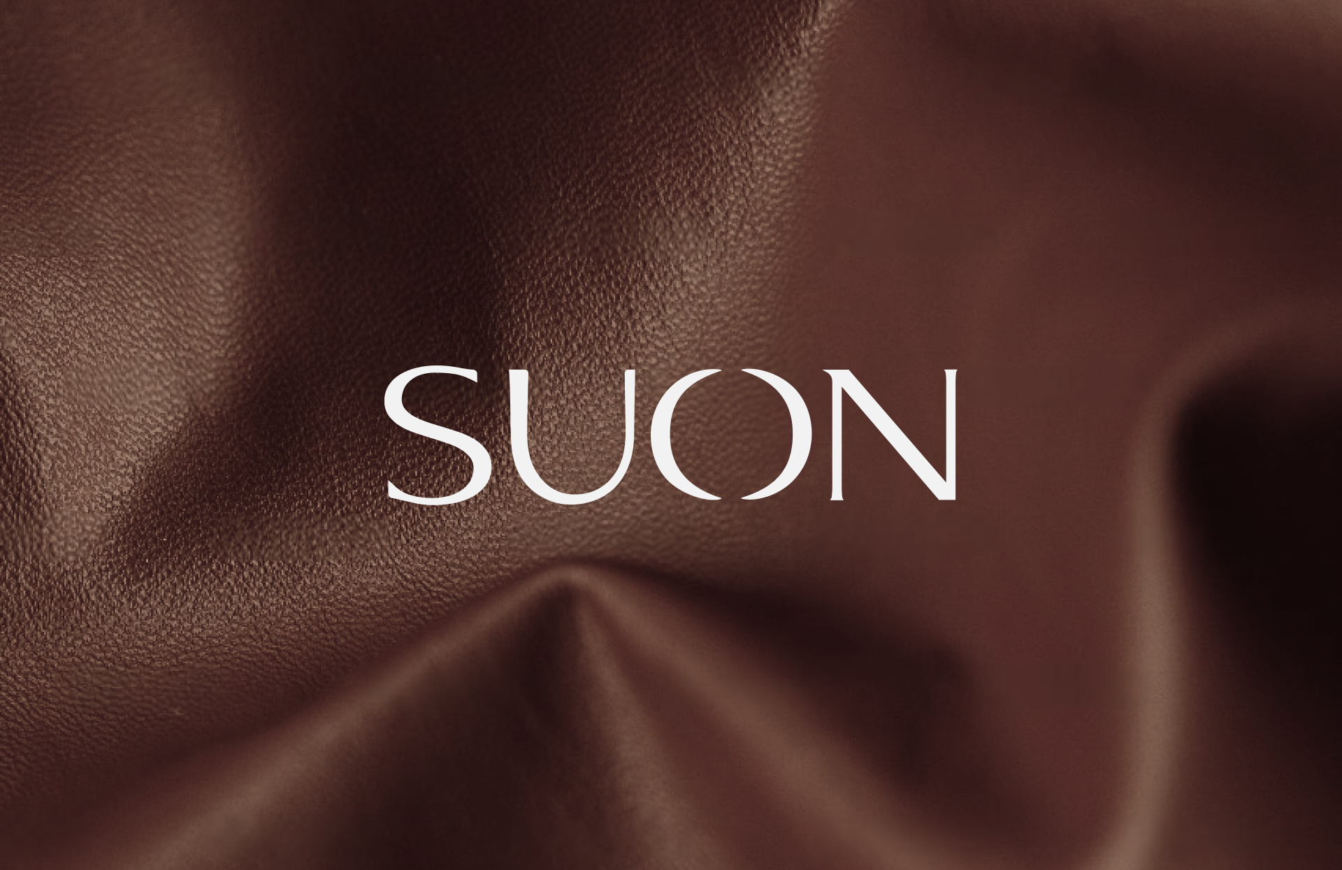 Фирменный стиль для бренда сумок SUON — Изображение №1 — Брендинг на Dprofile