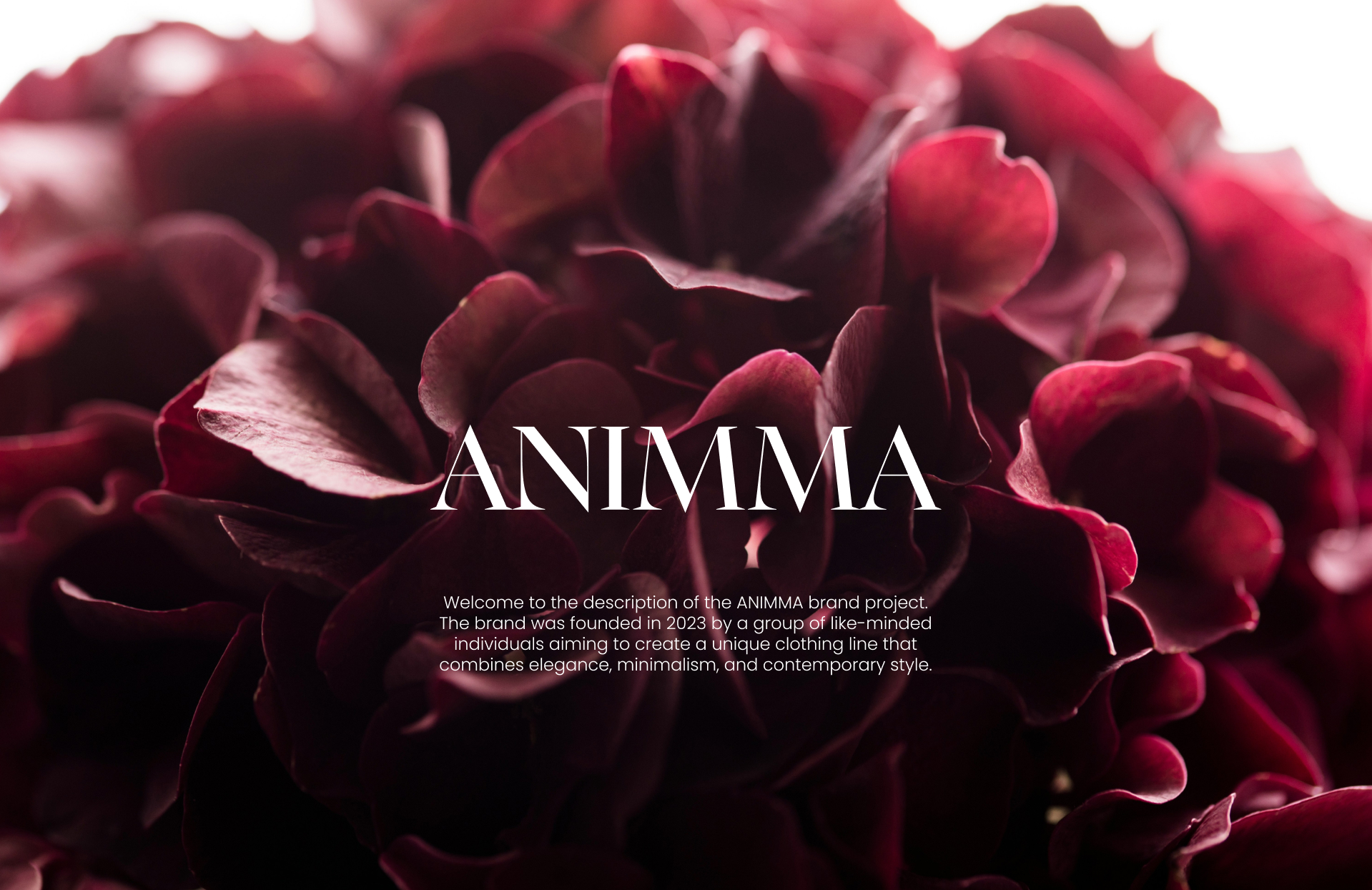 Фирменный стиль женской одежды - ANIMMA — Изображение №1 — Брендинг на Dprofile