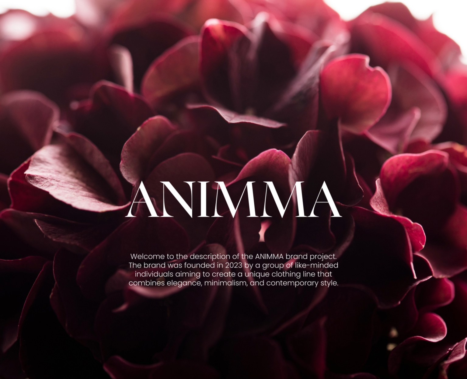 Фирменный стиль женской одежды - ANIMMA — Брендинг на Dprofile