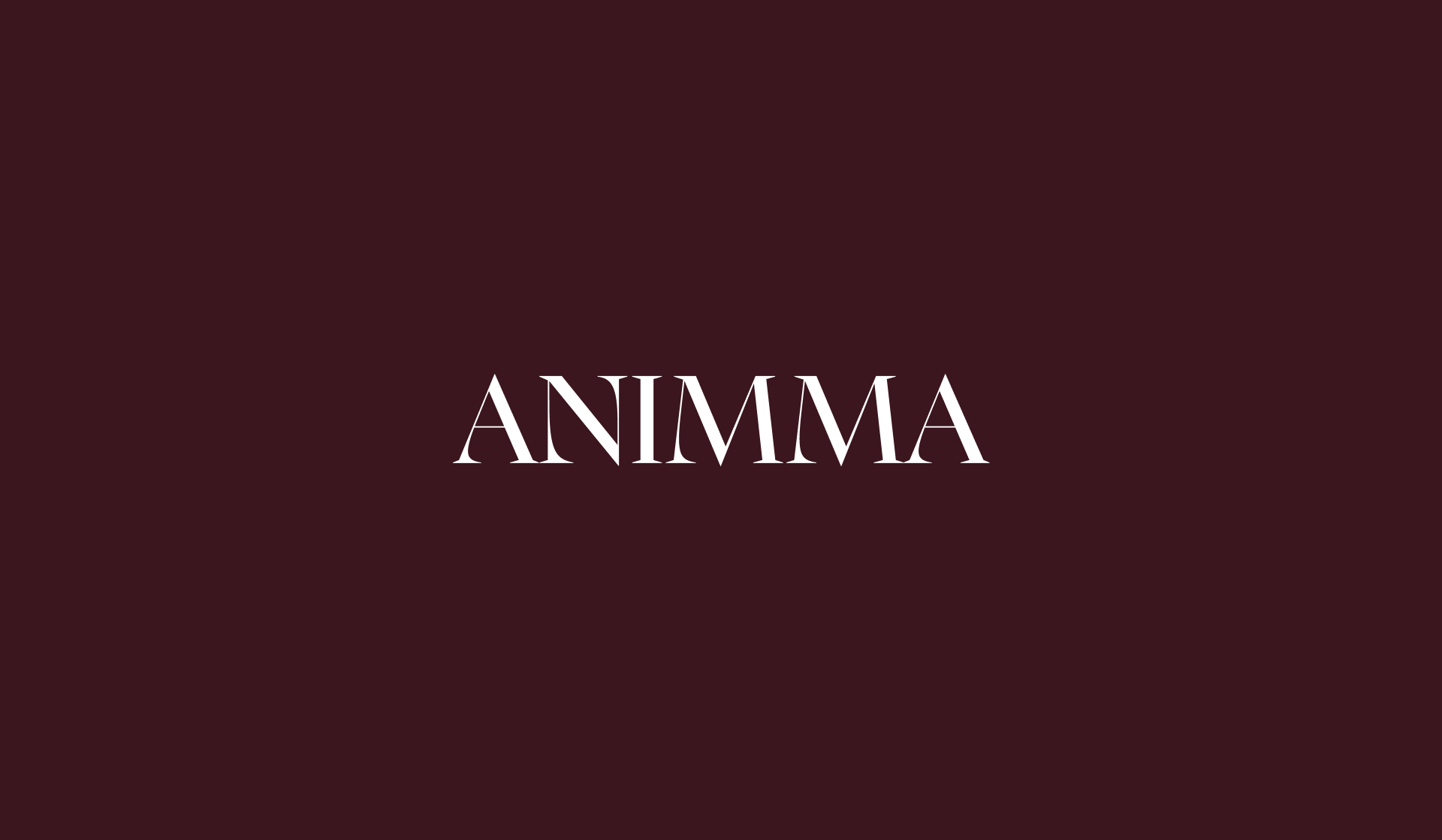 Фирменный стиль женской одежды - ANIMMA — Изображение №11 — Брендинг на Dprofile