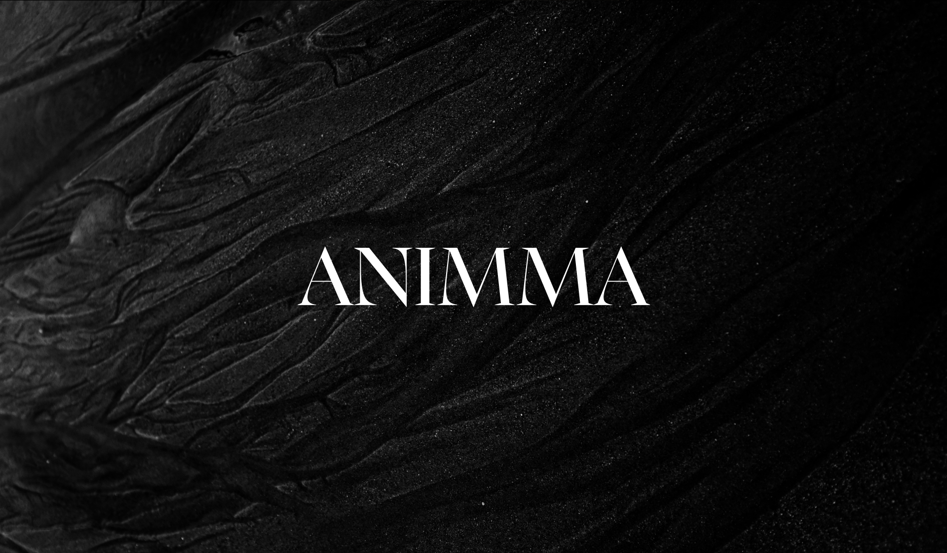 Фирменный стиль женской одежды - ANIMMA — Изображение №14 — Брендинг на Dprofile