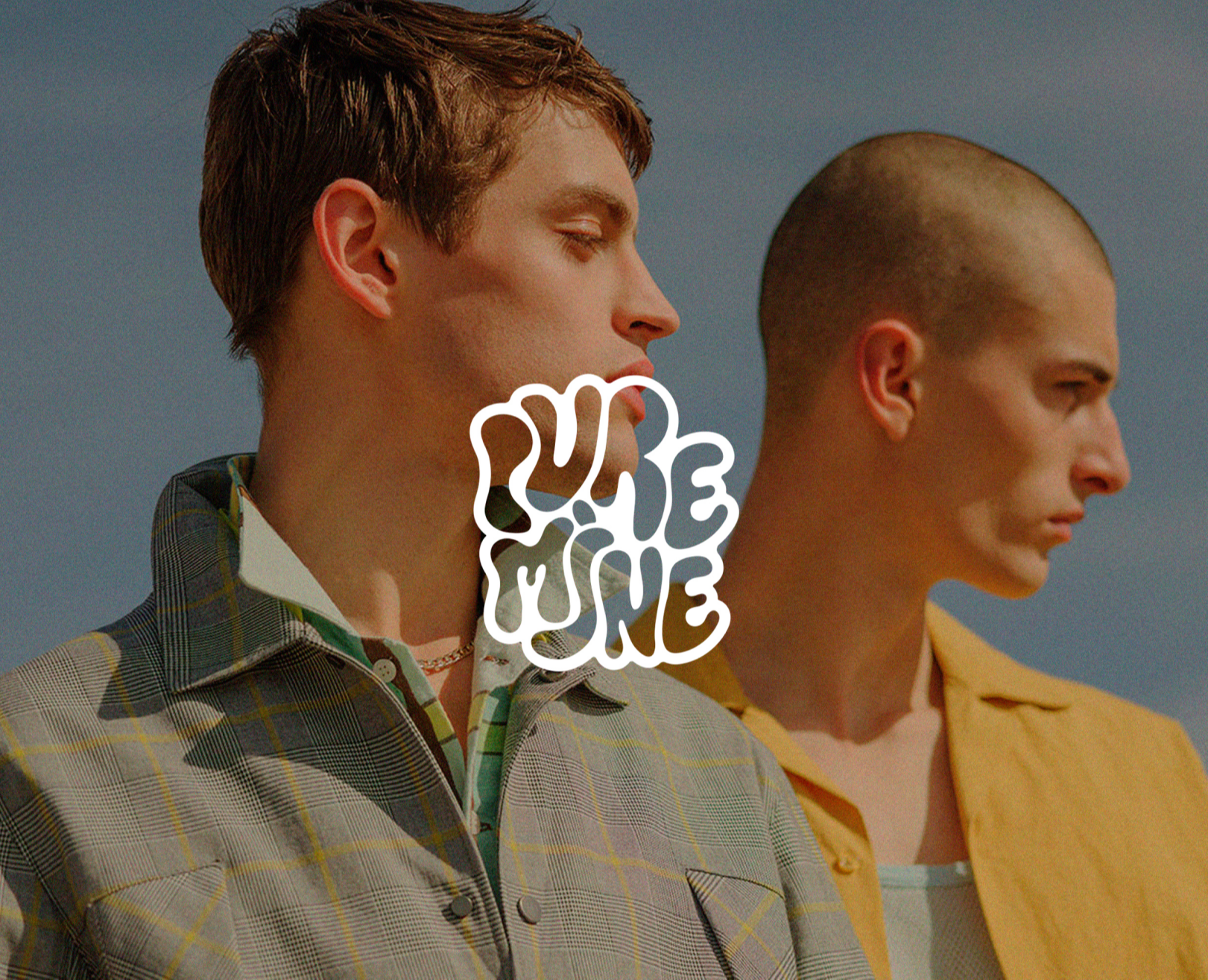 Pure Mine — Брендинг, Графика на Dprofile