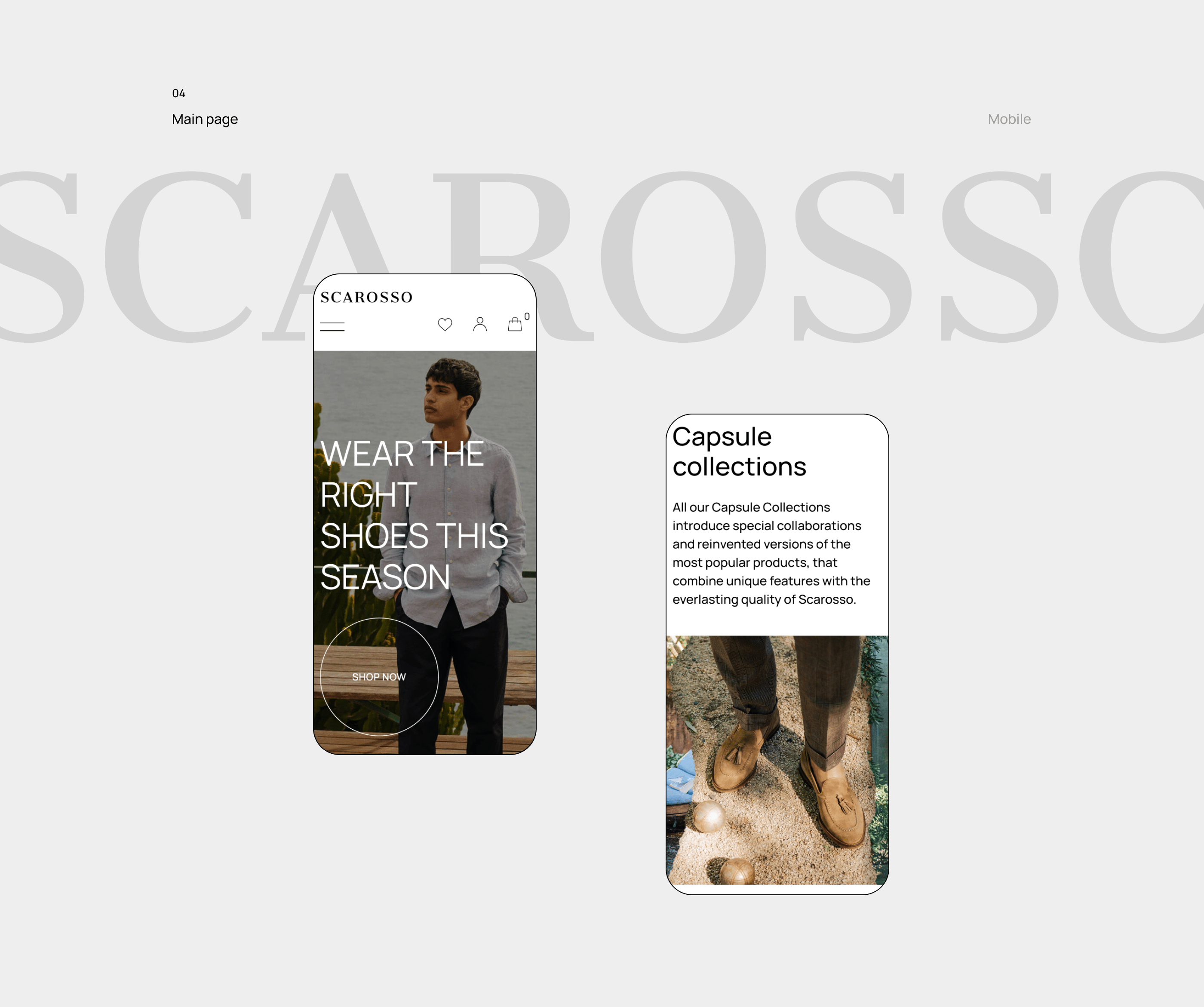 Scarosso — Изображение №5 — Интерфейсы, Брендинг на Dprofile