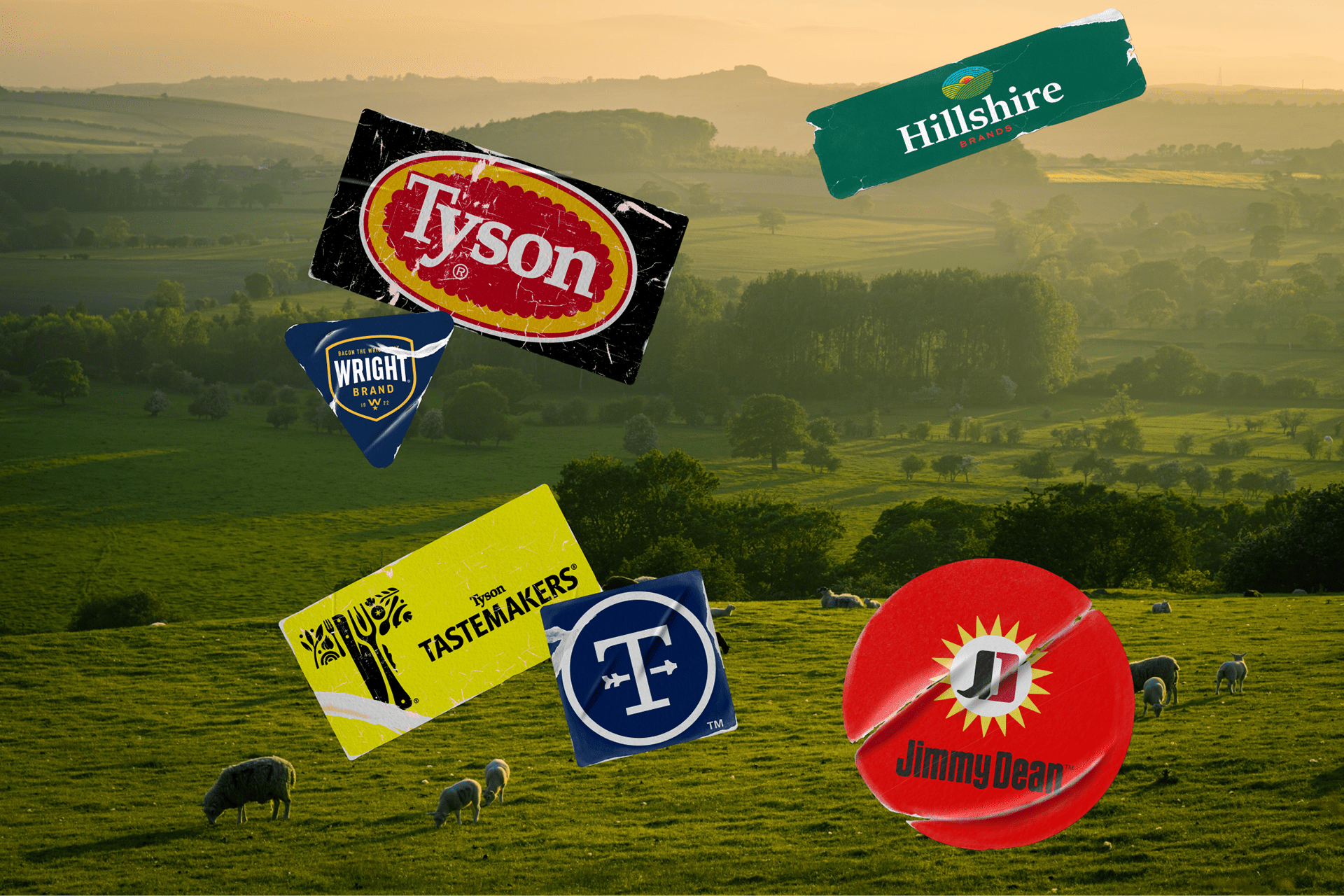 Tyson Foods — Изображение №3 — Интерфейсы, Брендинг на Dprofile