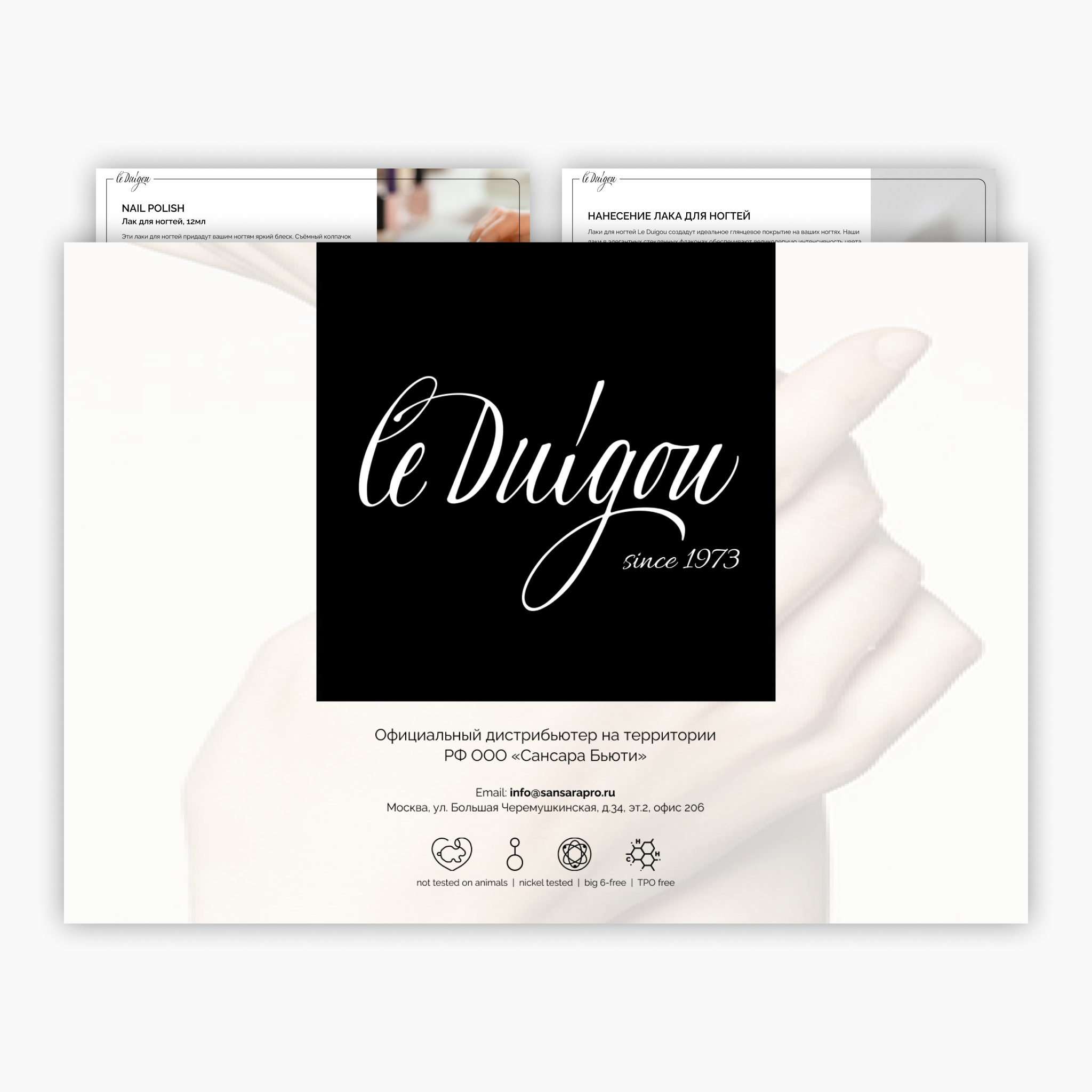 Дизайн презентации для Le Duigou — Изображение №1 — Графика, Маркетинг на Dprofile