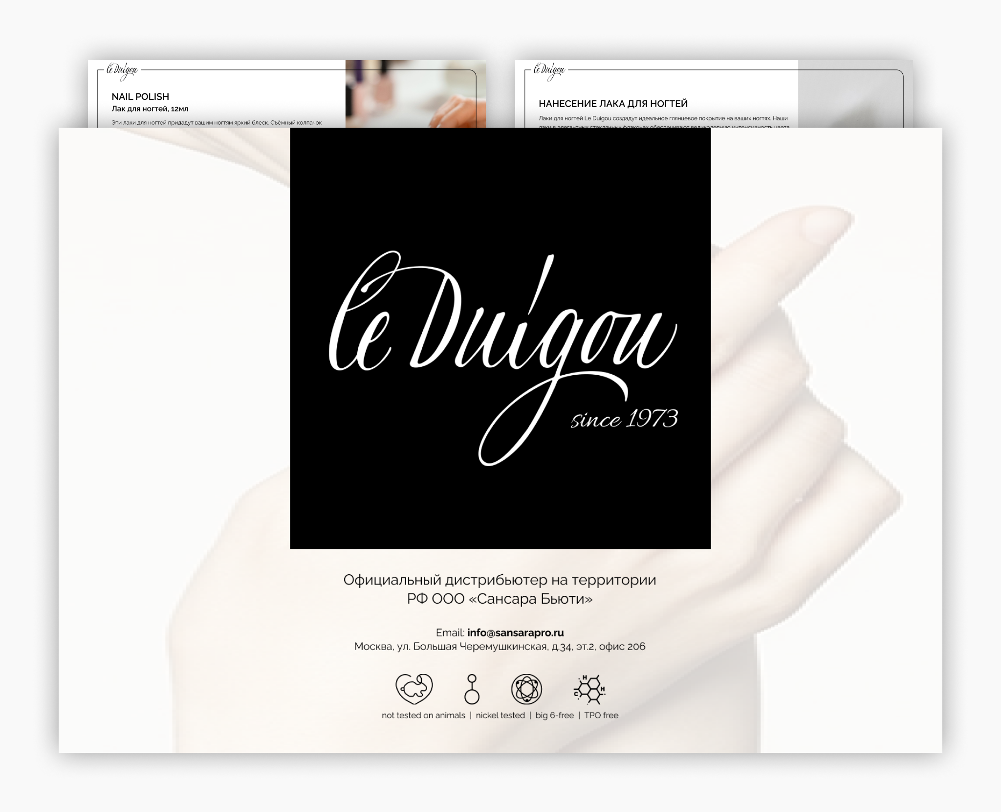 Дизайн презентации для Le Duigou на Dprofile