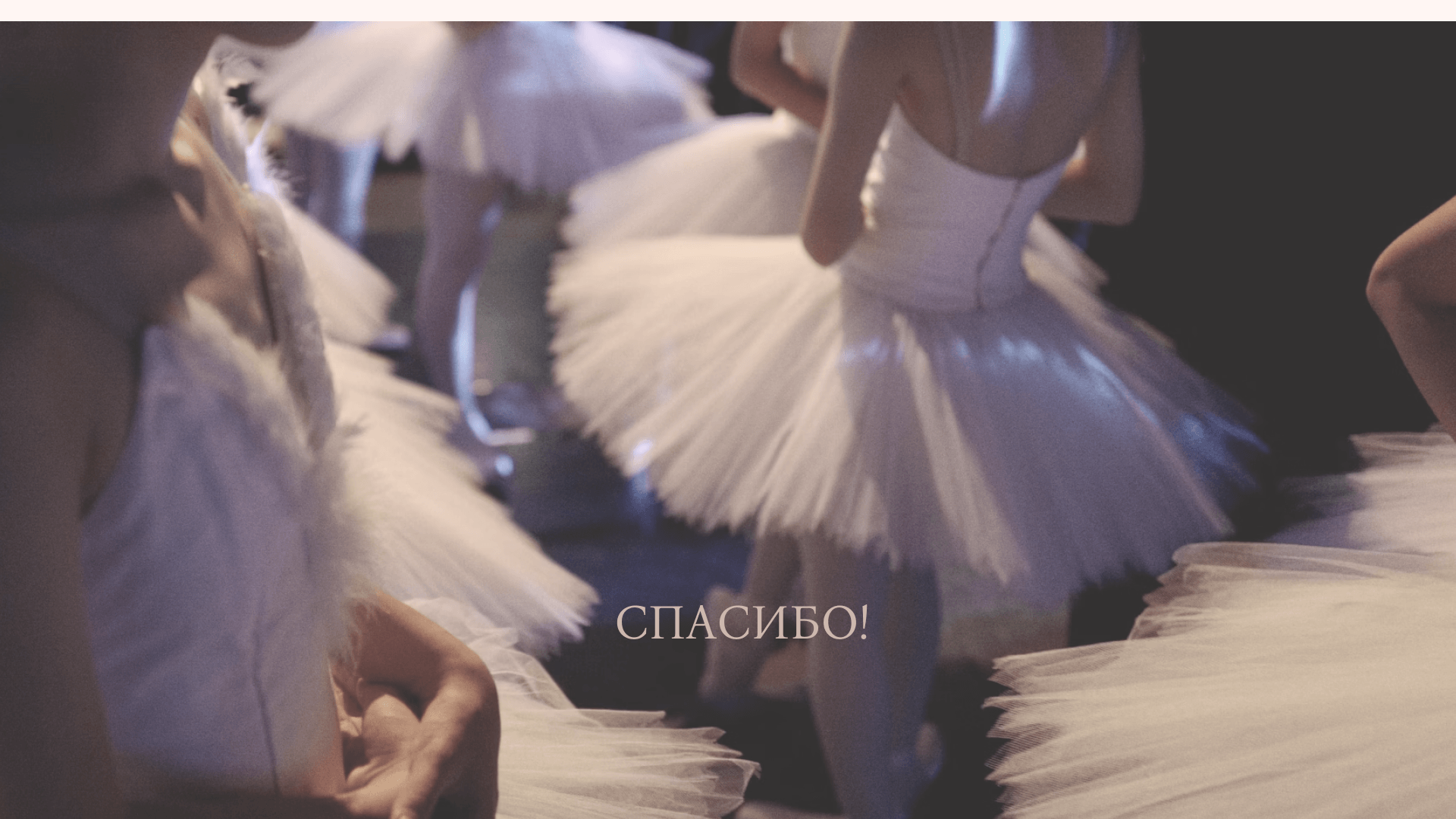 Разработка стиля для балетной школы PIROUETTE — Изображение №17 — Брендинг на Dprofile