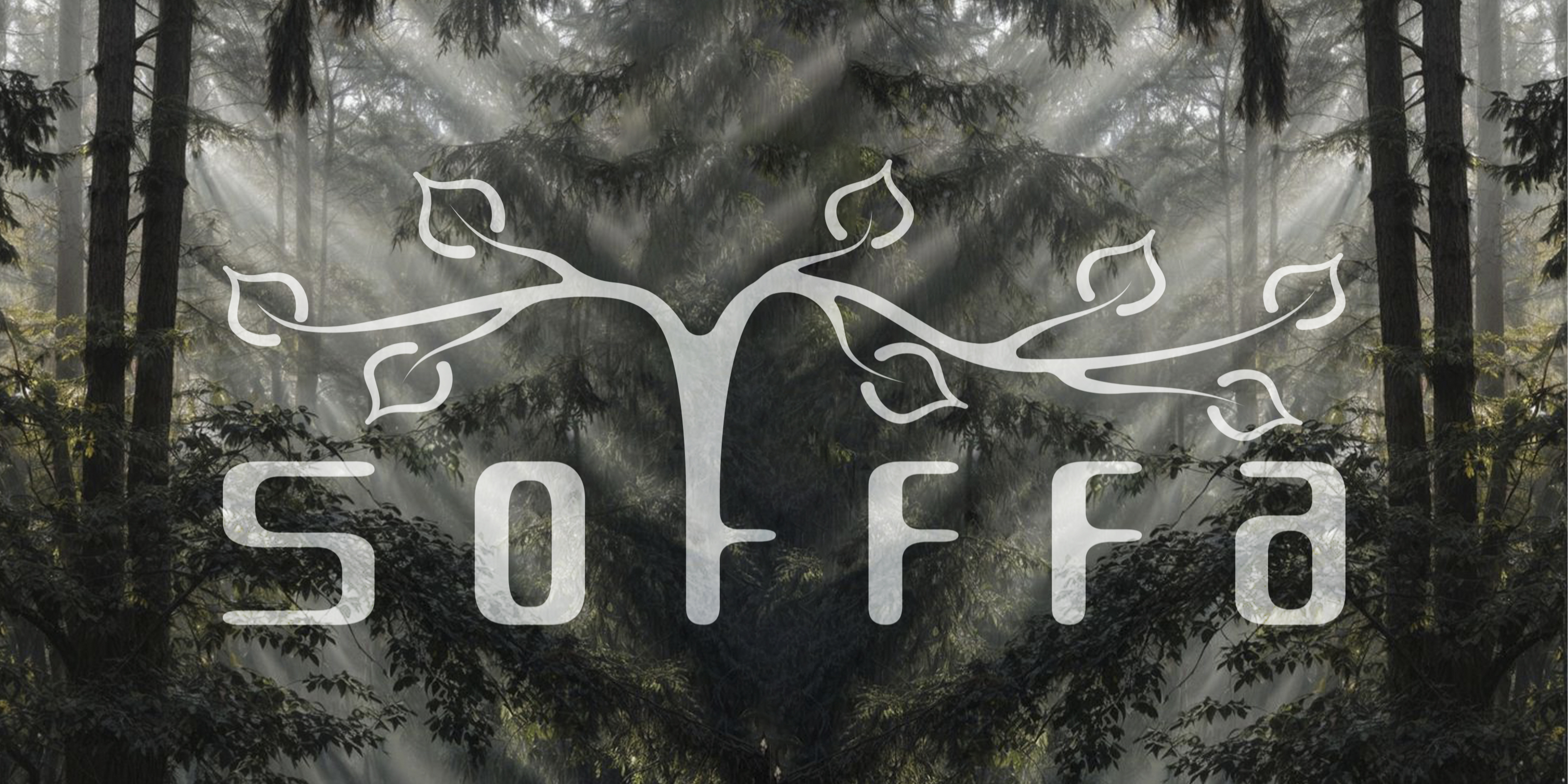 Sofffa - кофейня — Изображение №1 — Брендинг на Dprofile