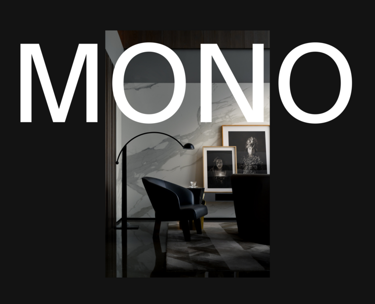 MONO house — Интерфейсы на Dprofile