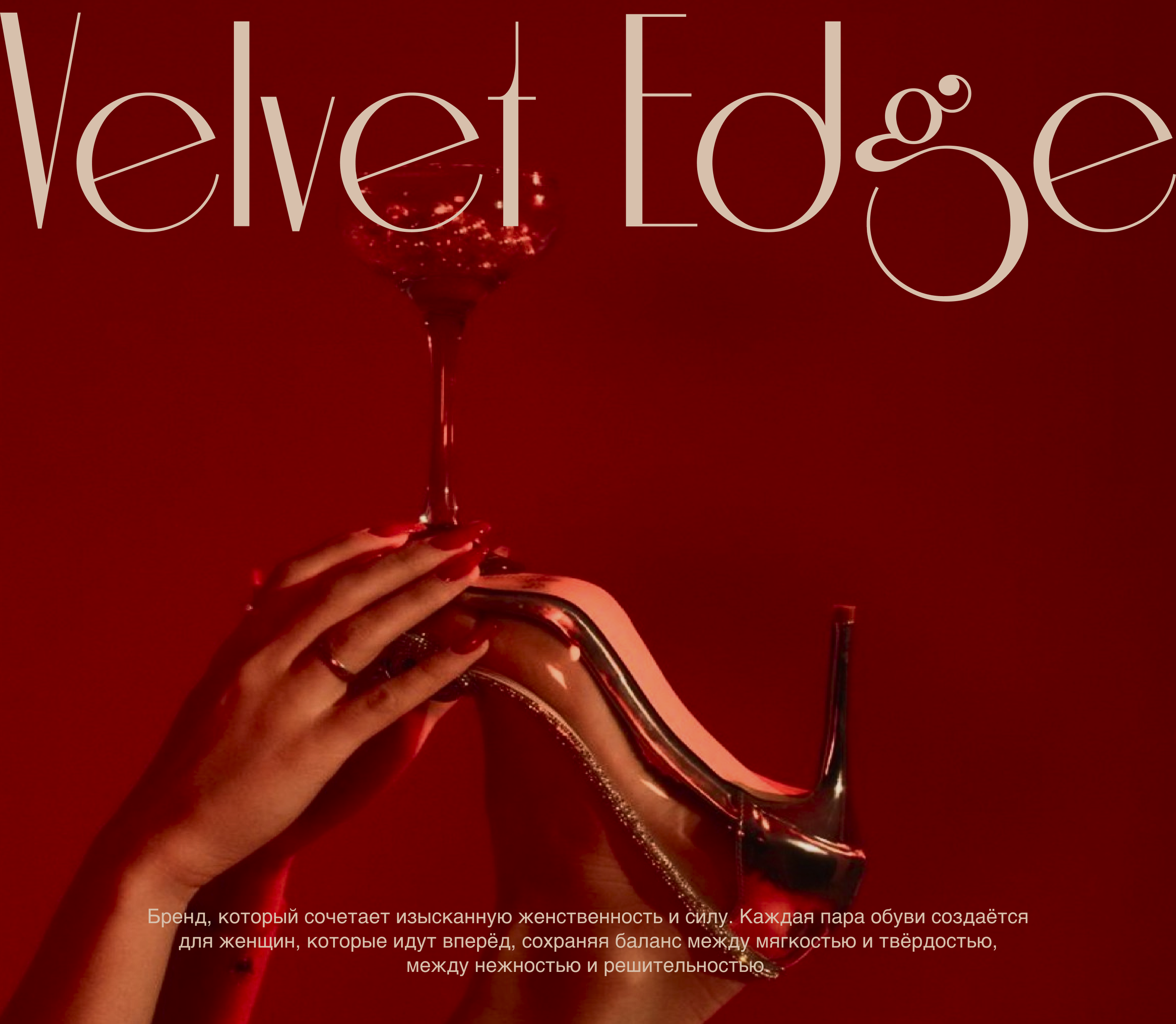Бутик женской обуви «Velvet Edge» — Изображение №1 — Брендинг на Dprofile