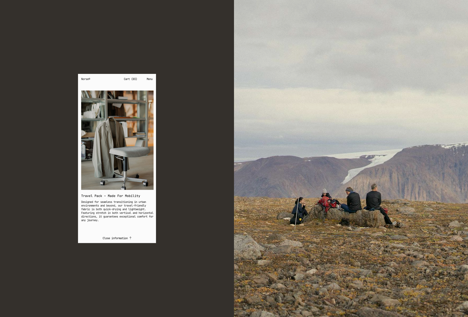 Norse® | Redesign concept — Изображение №3 — Интерфейсы, Брендинг на Dprofile