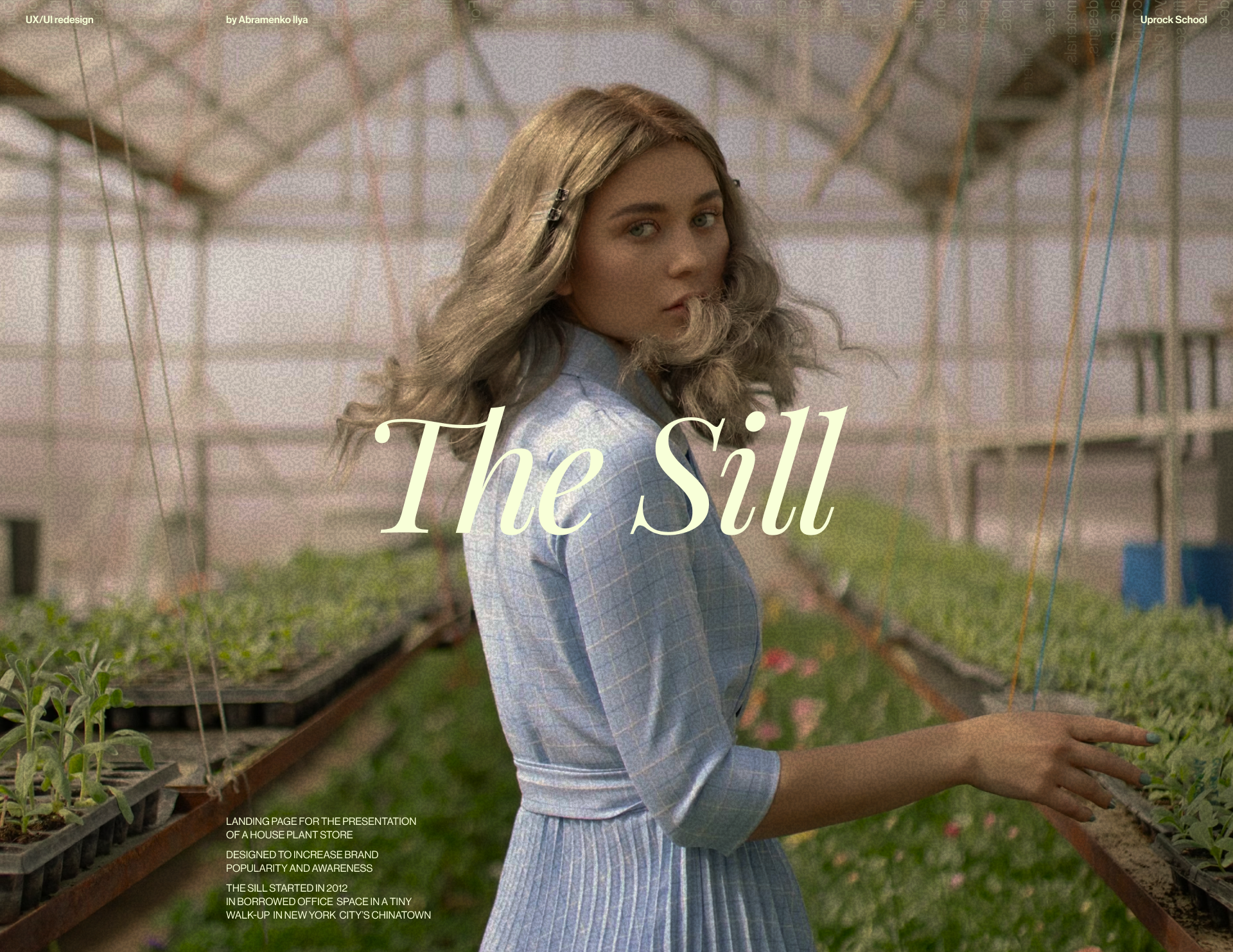 The Sill | Landing page — Изображение №1 — Интерфейсы, Анимация на Dprofile