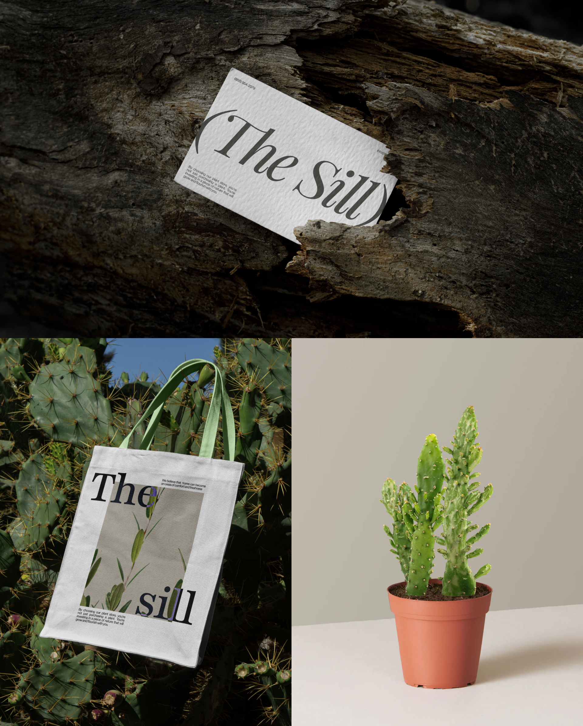 The Sill | Landing page — Изображение №3 — Интерфейсы, Анимация на Dprofile