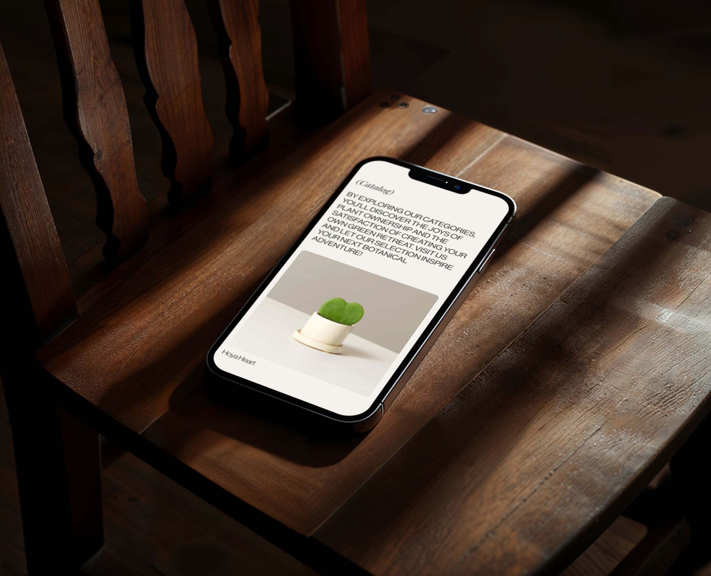 The Sill | Landing page на Dprofile
