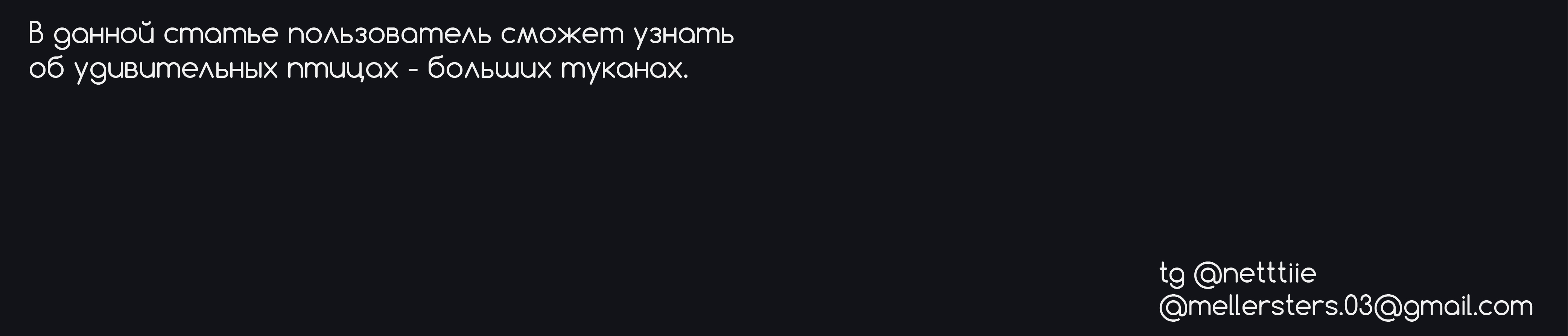 Тукан | Знак — Изображение №3 — Брендинг на Dprofile