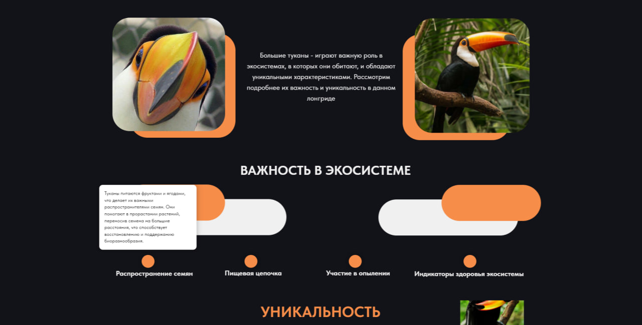 Сайт "TOKO" — Изображение №2 — Брендинг на Dprofile