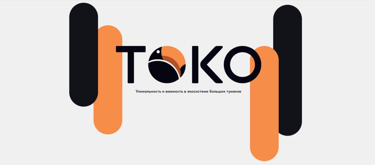 Сайт "TOKO" — Изображение №1 — Брендинг на Dprofile