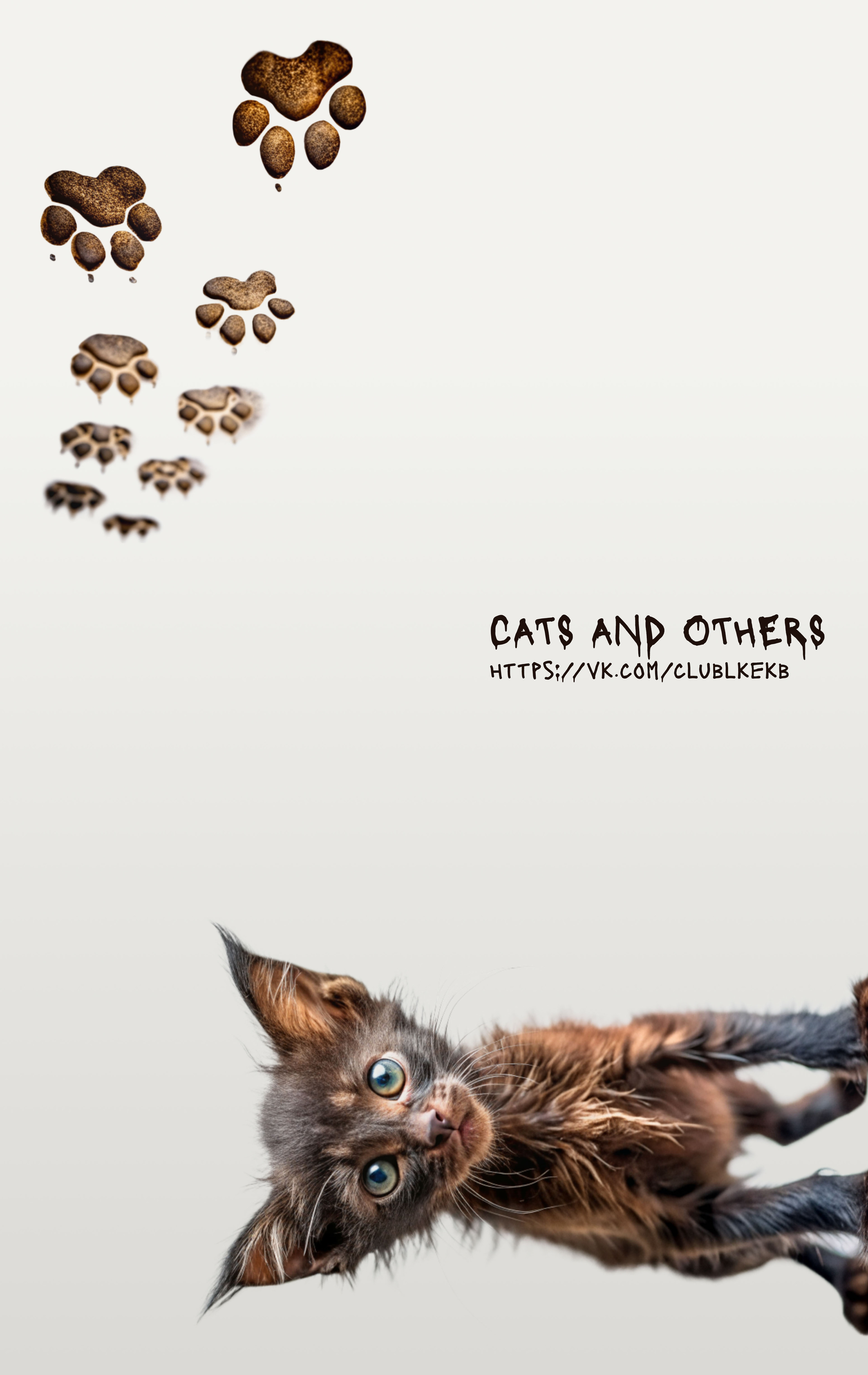 Сообщество Вконтакте помощь животным Community design — Изображение №5 — Брендинг на Dprofile