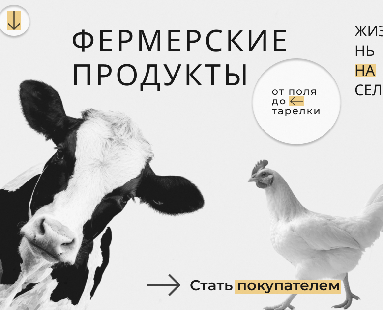 Фермерские продукты Farm products Сайт Website — Интерфейсы, Брендинг на Dprofile