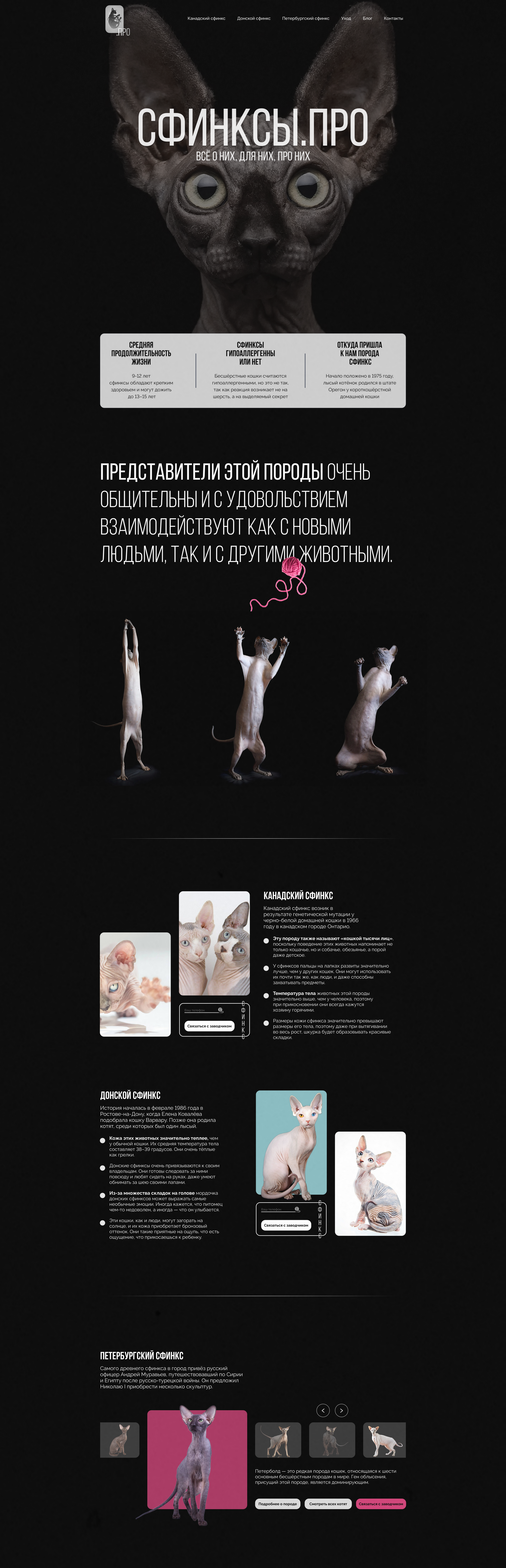 Кошки породы сфинкс Landing page Sphinx cats — Изображение №1 — Интерфейсы, Брендинг на Dprofile