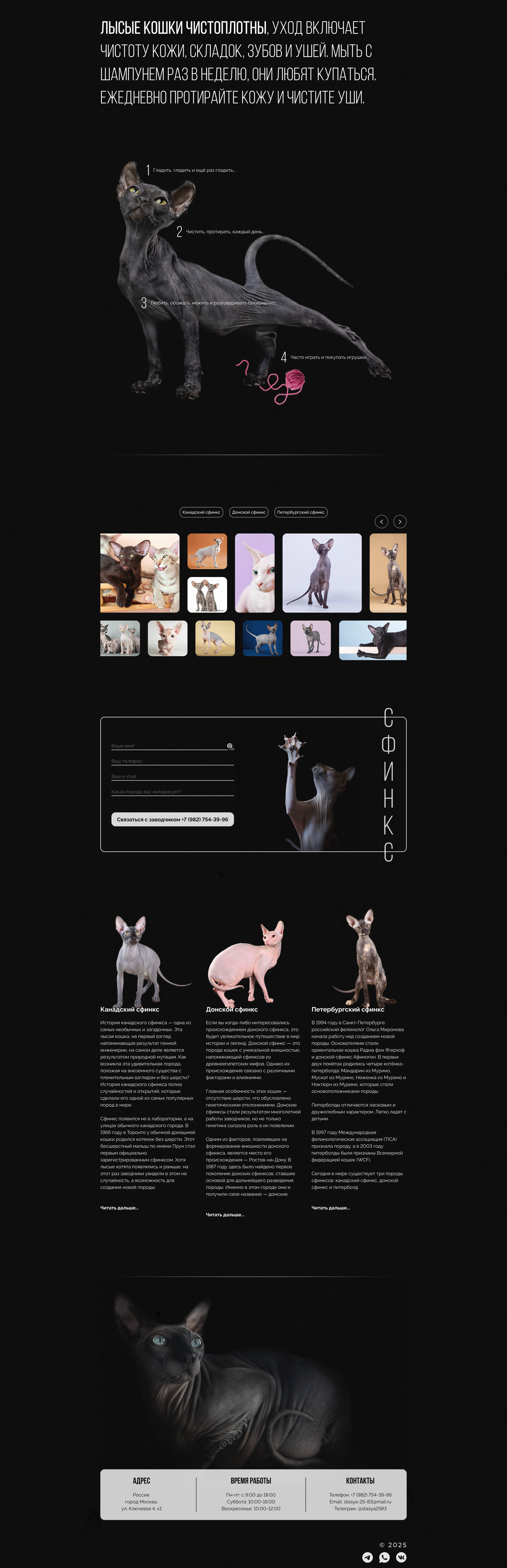 Кошки породы сфинкс Landing page Sphinx cats — Изображение №2 — Интерфейсы, Брендинг на Dprofile