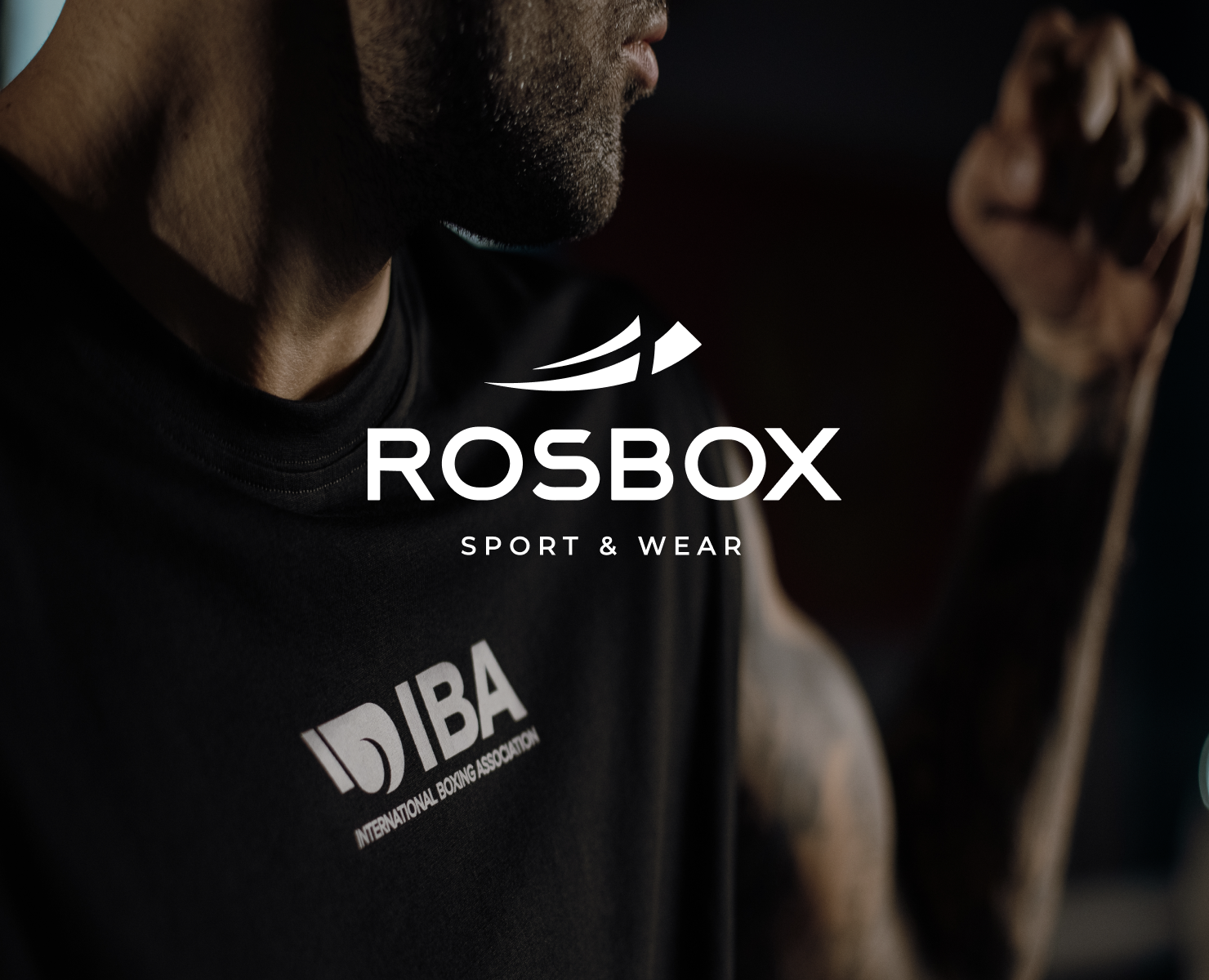 ROSBOX — Интерфейсы, Анимация на Dprofile