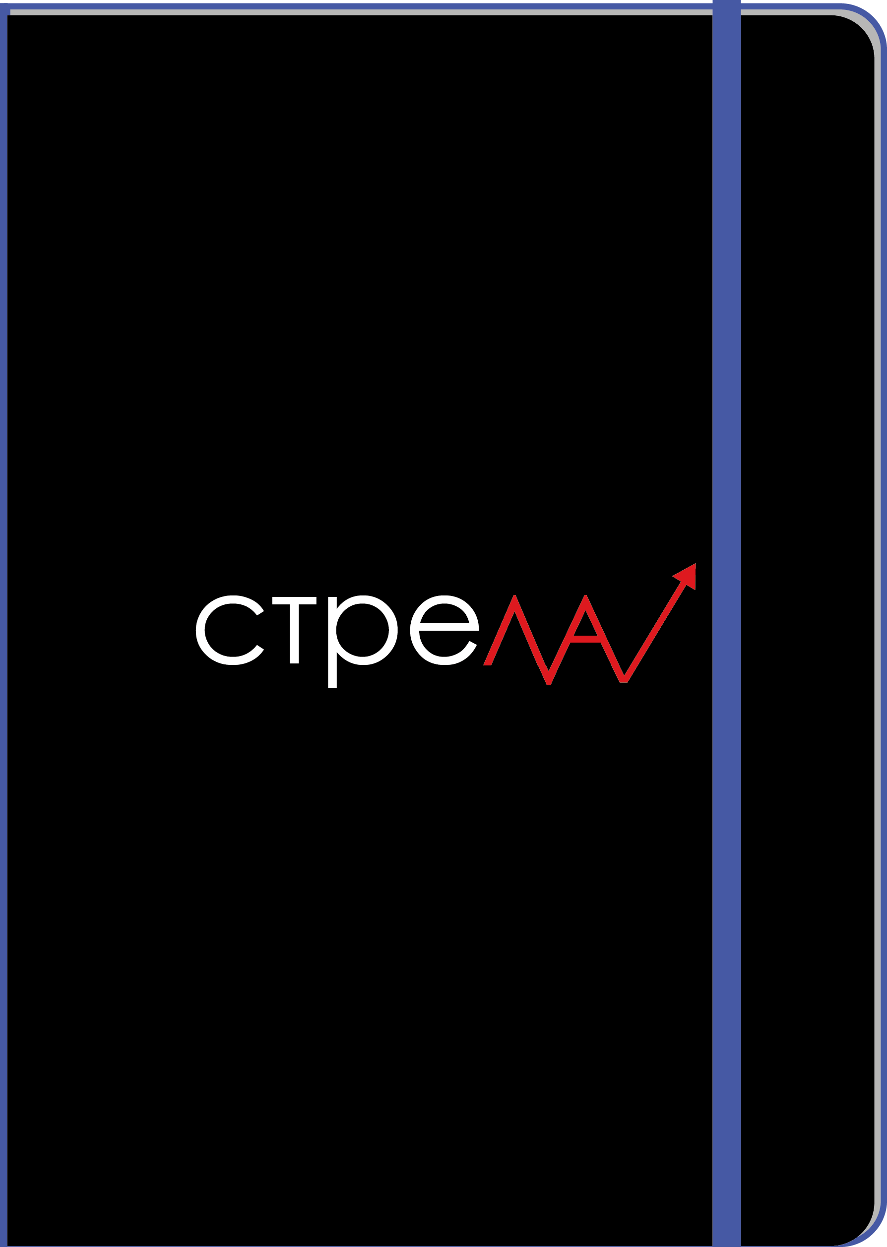 Айдентика диджитал-конференции “Стрела” — Изображение №10 — Брендинг, Маркетинг на Dprofile