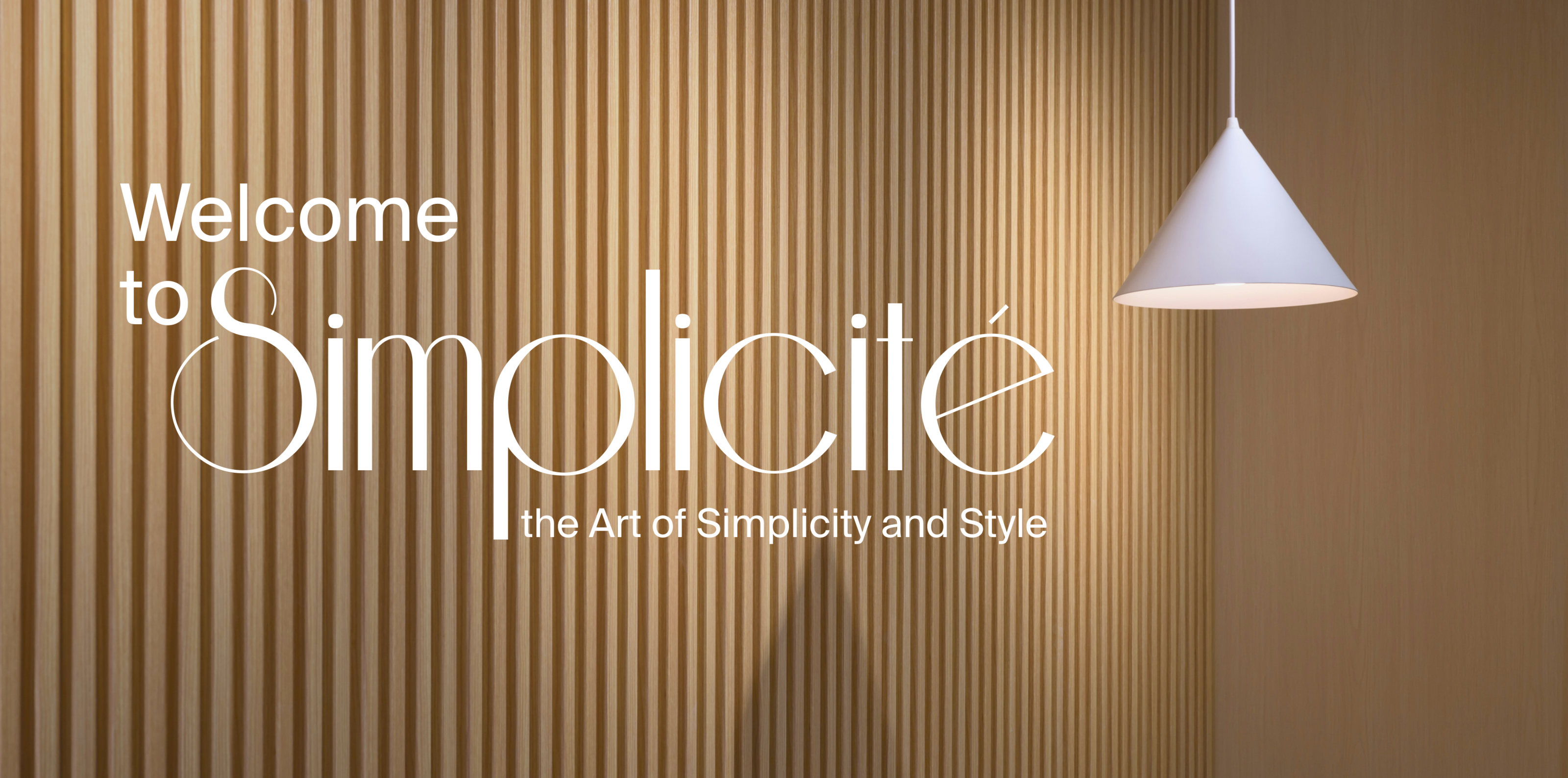SIMPLICITE — Изображение №1 — Интерфейсы на Dprofile