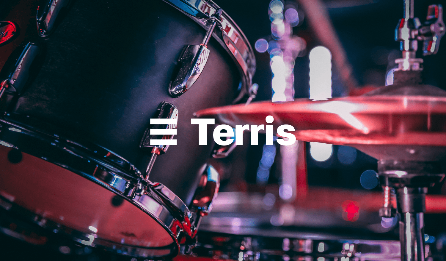 Terris — logo & identity — Изображение №1 — Брендинг на Dprofile