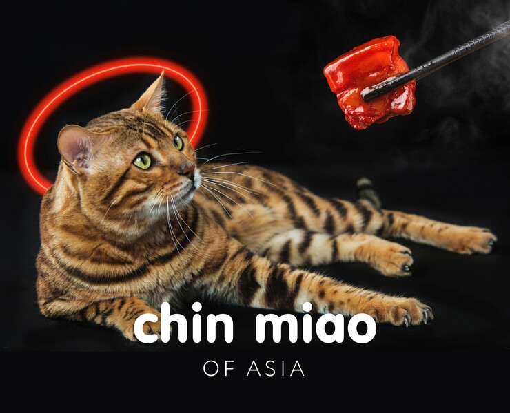Logo and identity from pan-asian cafe | CHIN MIAO — Брендинг, Графика на Dprofile