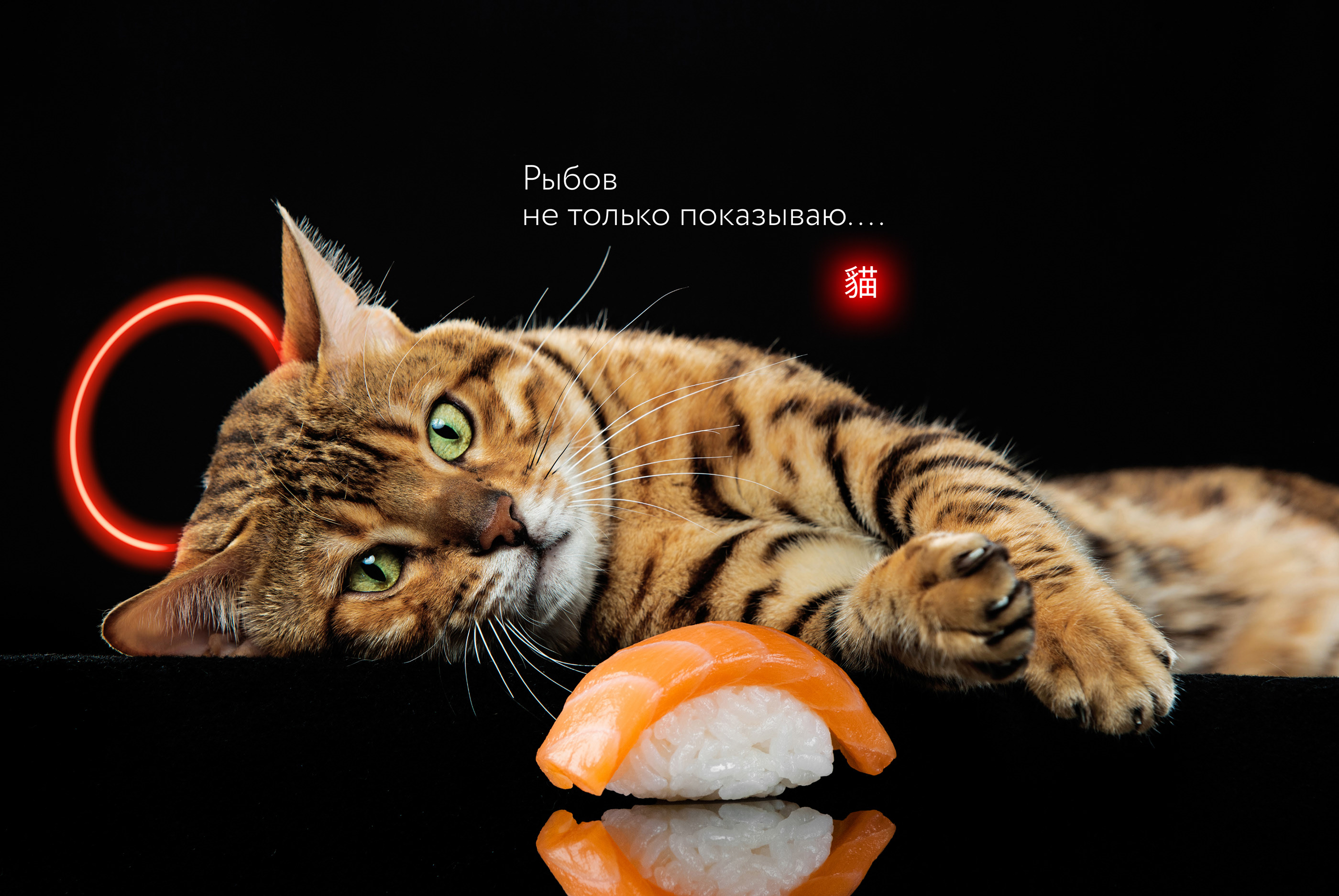 Logo and identity from pan-asian cafe | CHIN MIAO — Изображение №9 — Брендинг, Графика на Dprofile