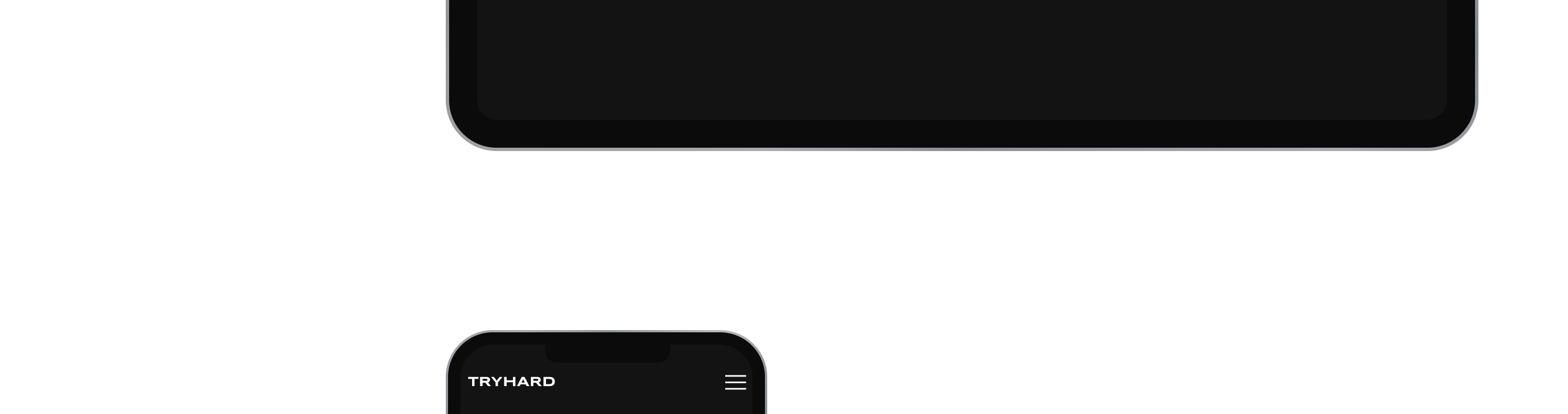 TRYHARD seo agency — Изображение №5 — Интерфейсы, Брендинг на Dprofile