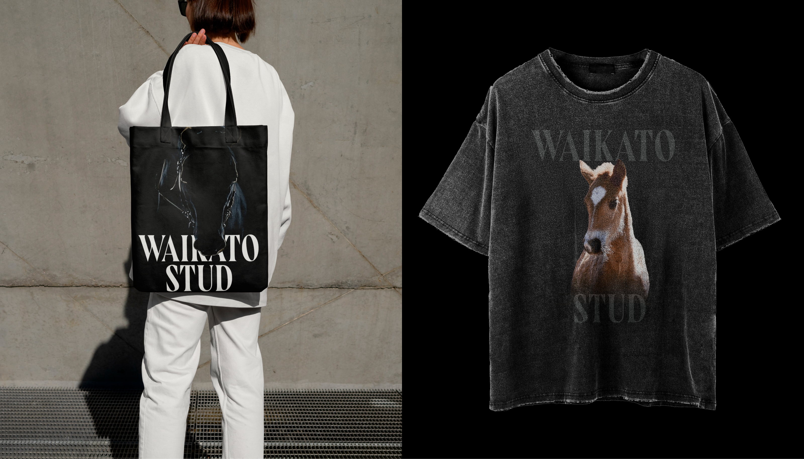Waikato Stud-Корпоративный вебсайт — Изображение №6 — Интерфейсы на Dprofile