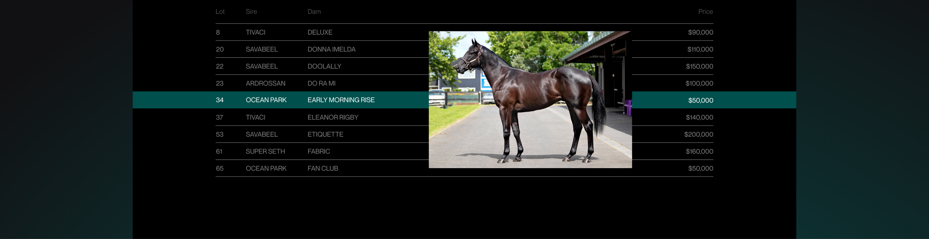 Waikato Stud-Корпоративный вебсайт — Изображение №11 — Интерфейсы на Dprofile