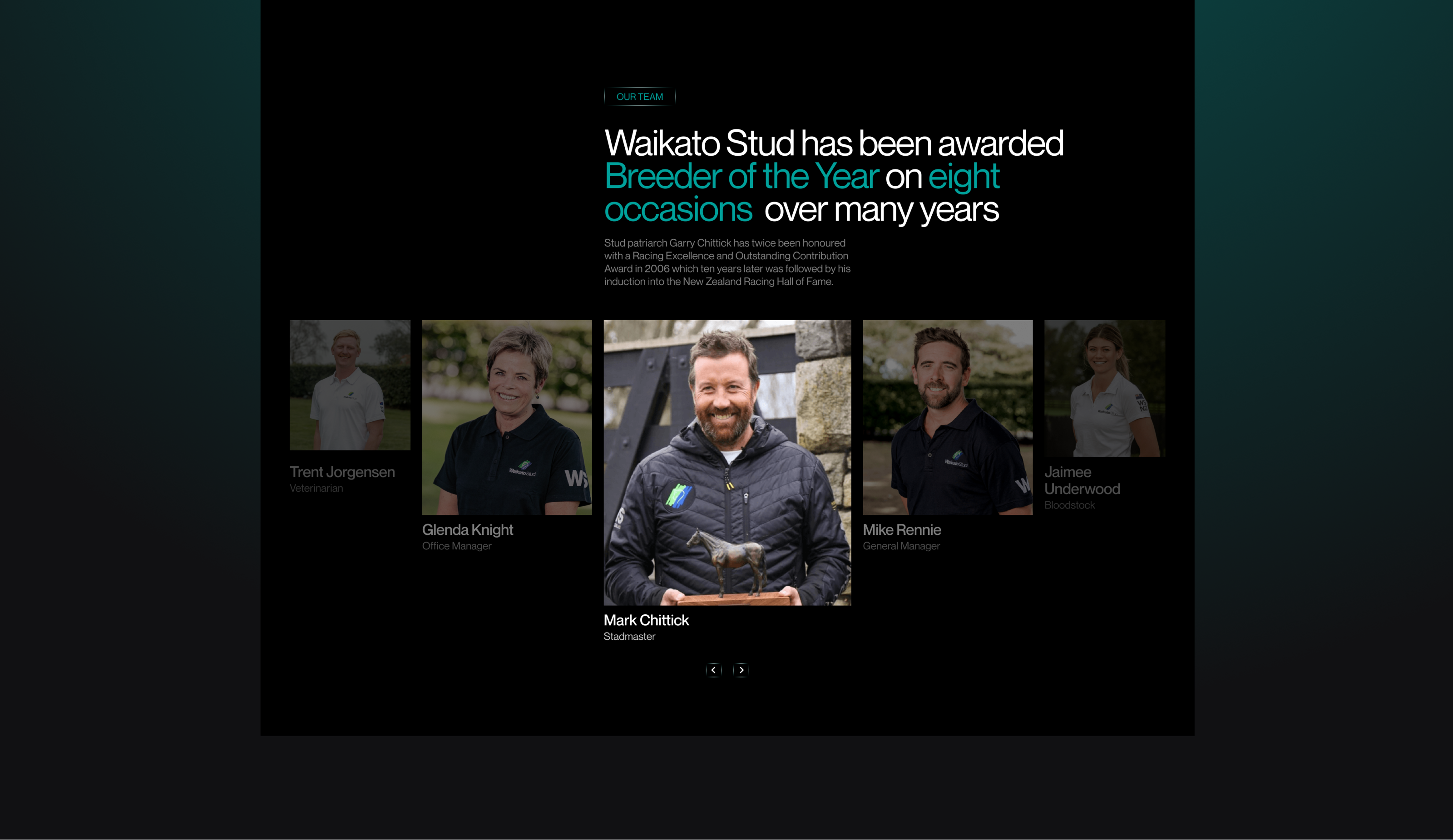 Waikato Stud-Корпоративный вебсайт — Изображение №15 — Интерфейсы на Dprofile