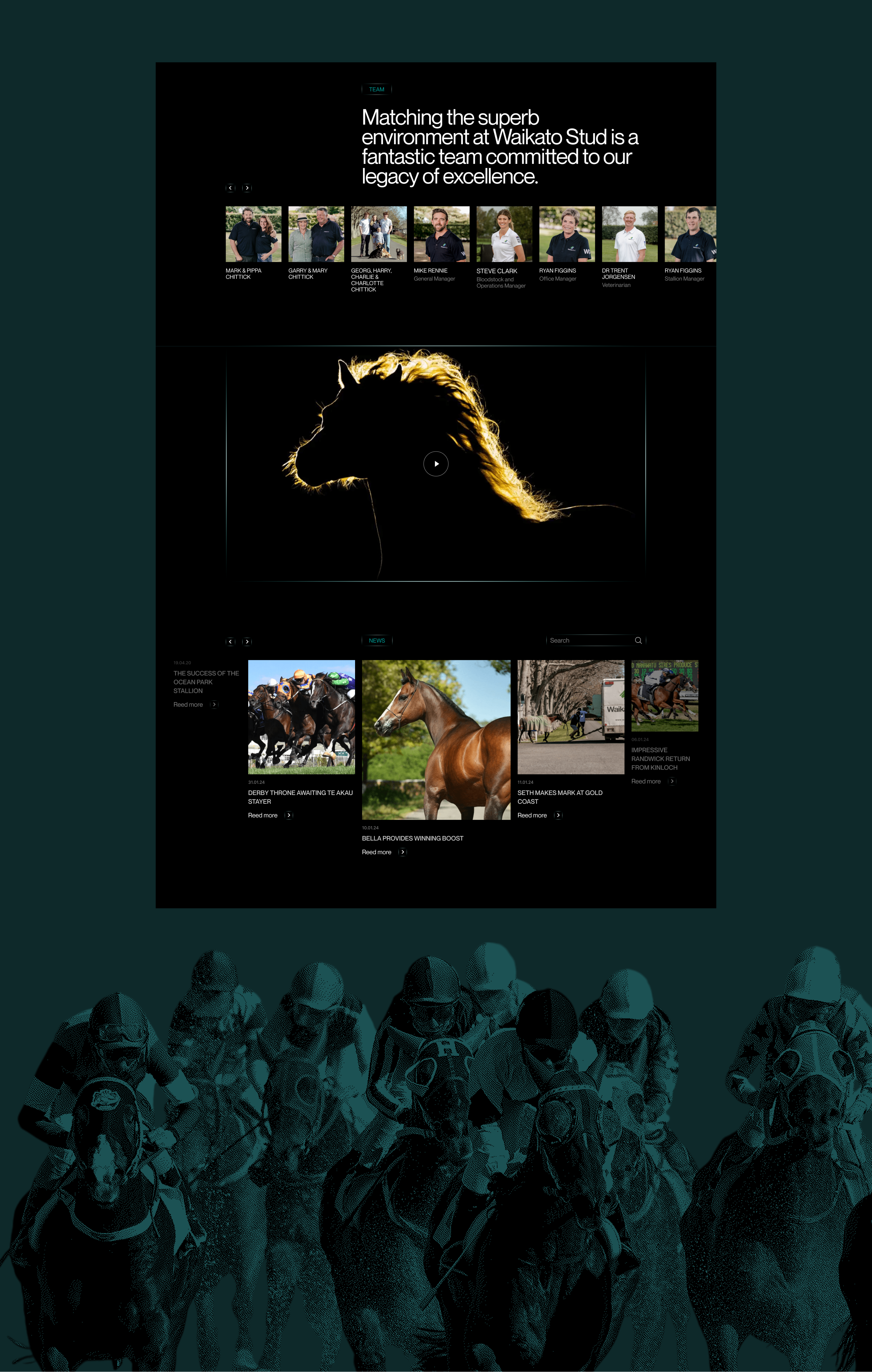 Waikato Stud-Корпоративный вебсайт — Изображение №5 — Интерфейсы на Dprofile