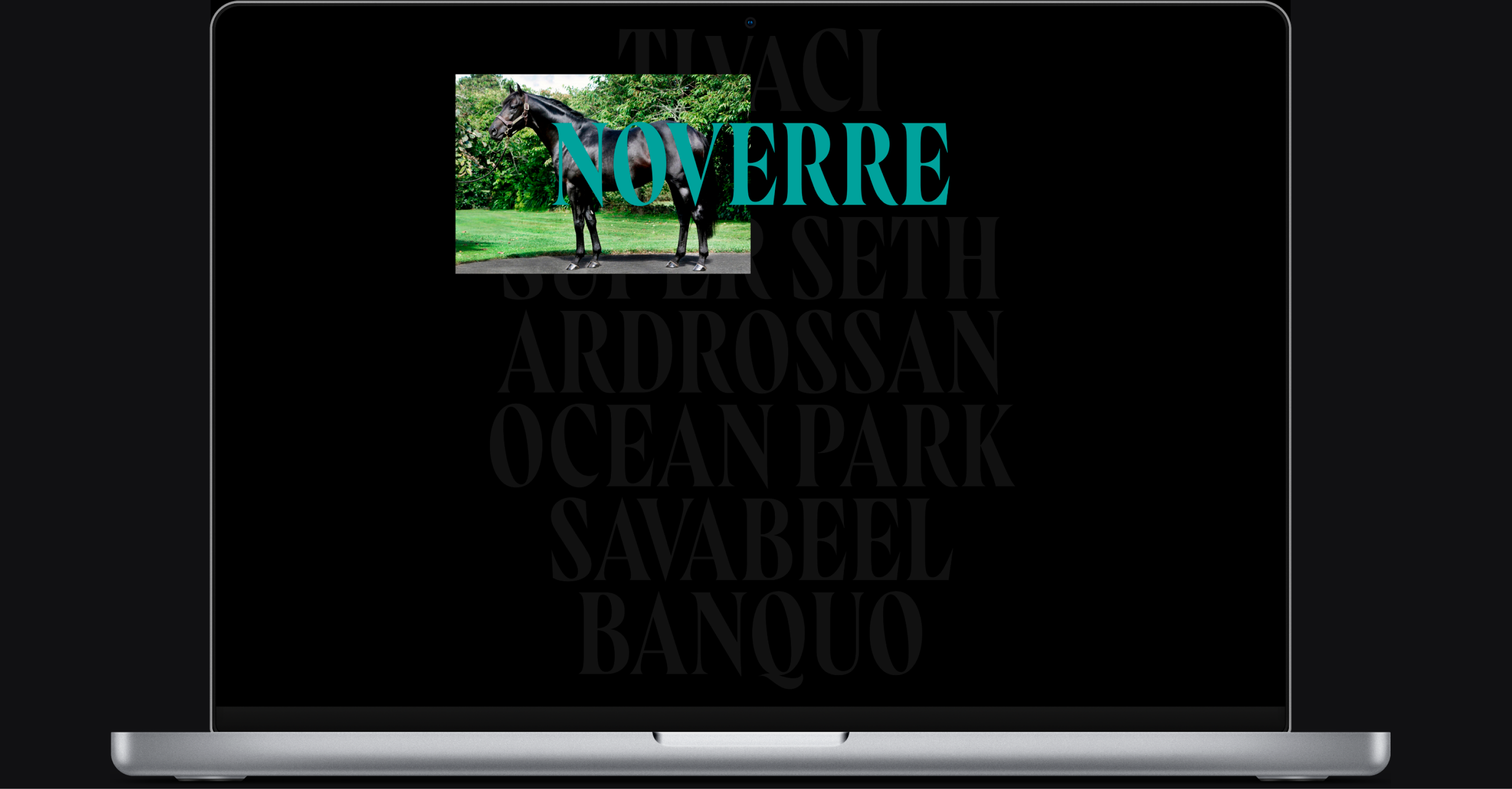 Waikato Stud-Корпоративный вебсайт — Изображение №8 — Интерфейсы на Dprofile