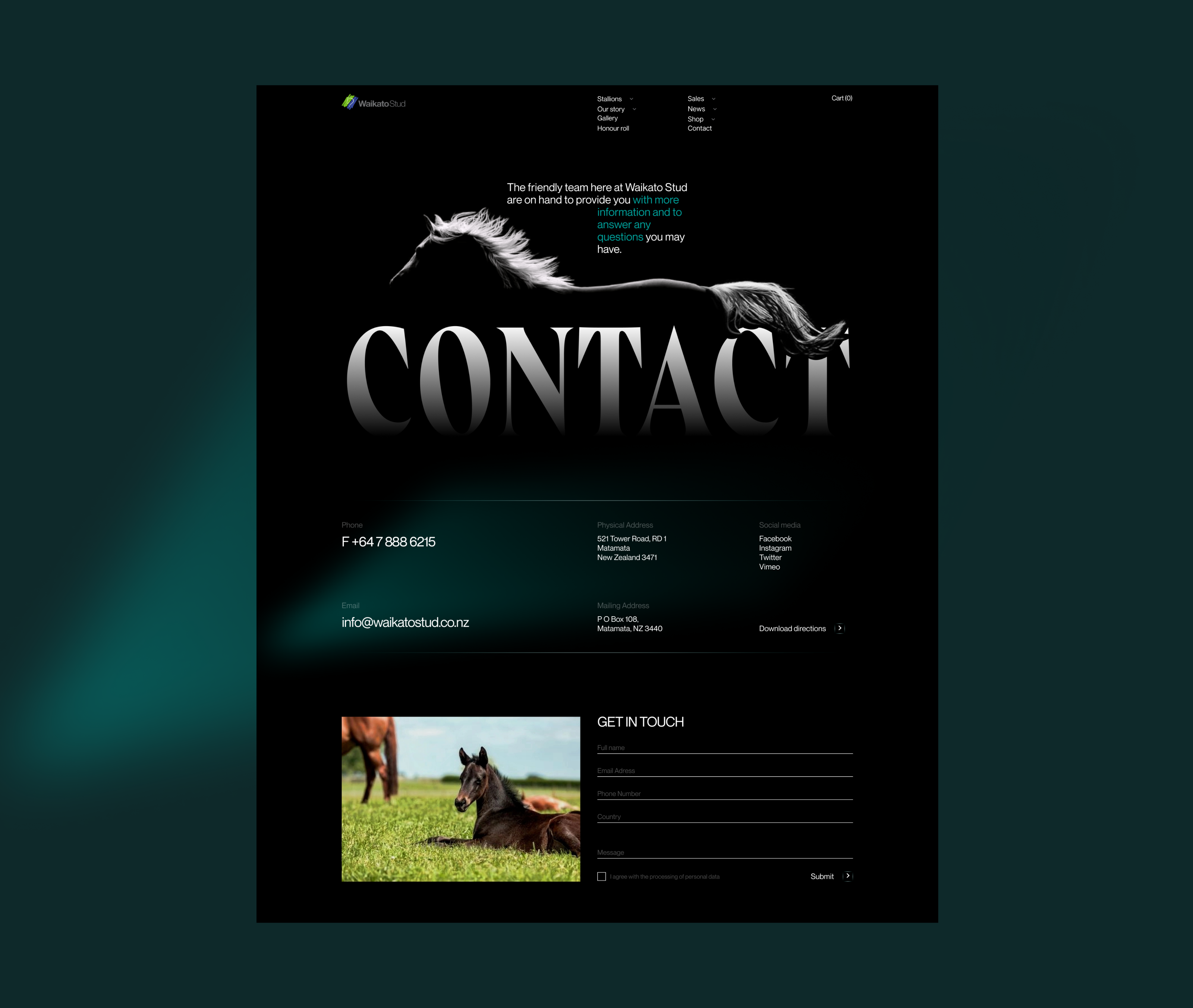 Waikato Stud-Корпоративный вебсайт — Изображение №16 — Интерфейсы на Dprofile