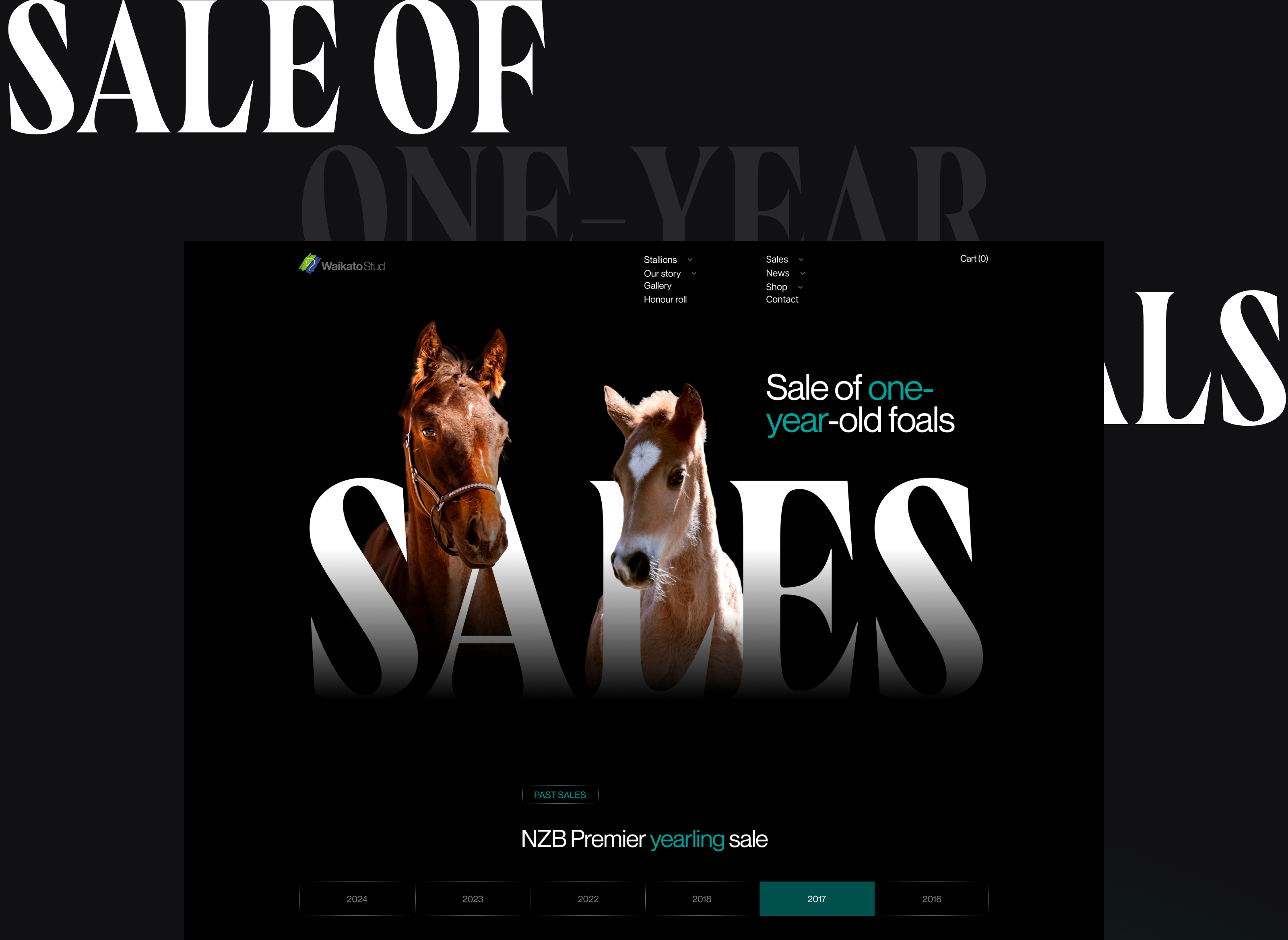 Waikato Stud-Корпоративный вебсайт — Изображение №10 — Интерфейсы на Dprofile