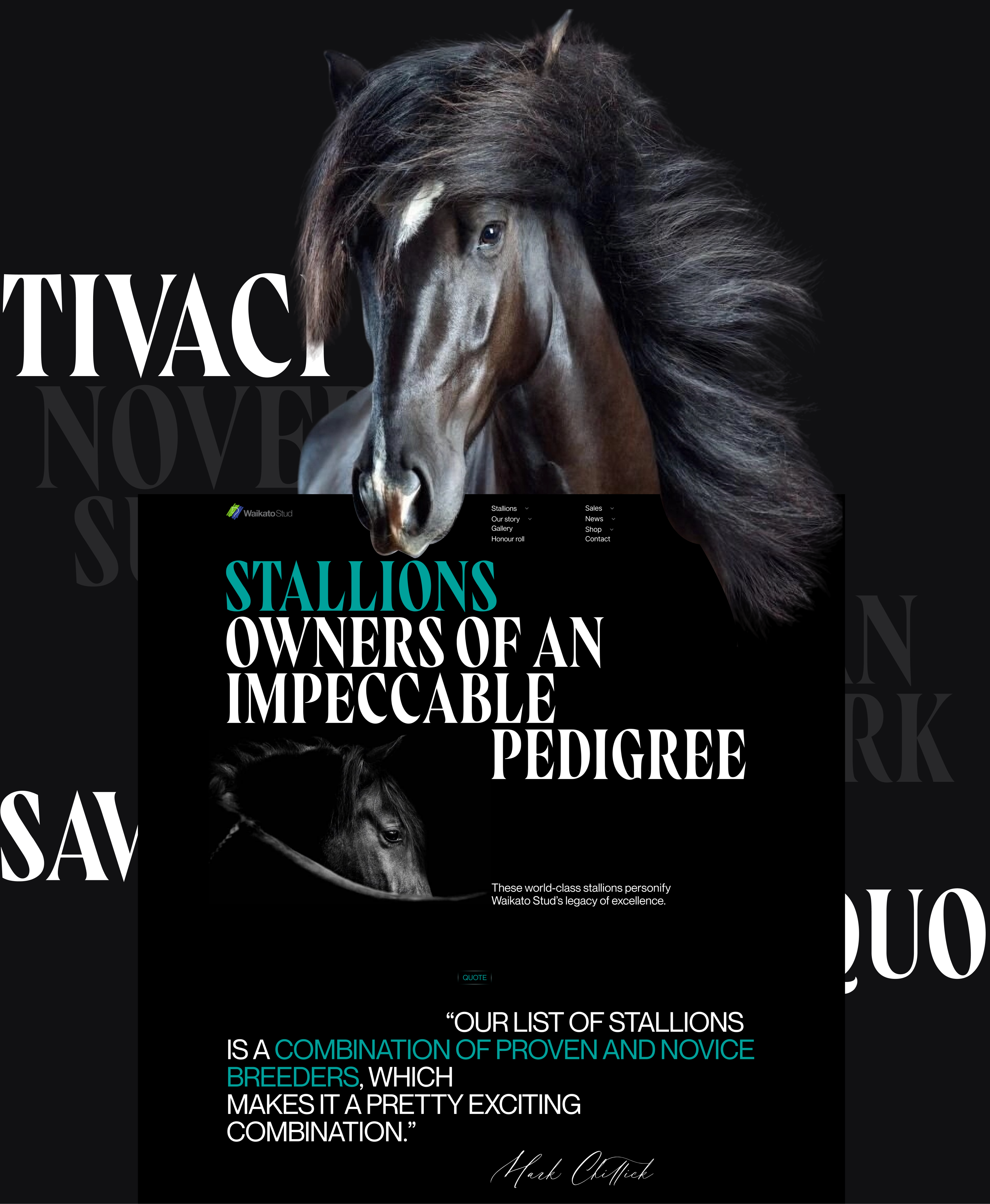 Waikato Stud-Корпоративный вебсайт — Изображение №7 — Интерфейсы на Dprofile