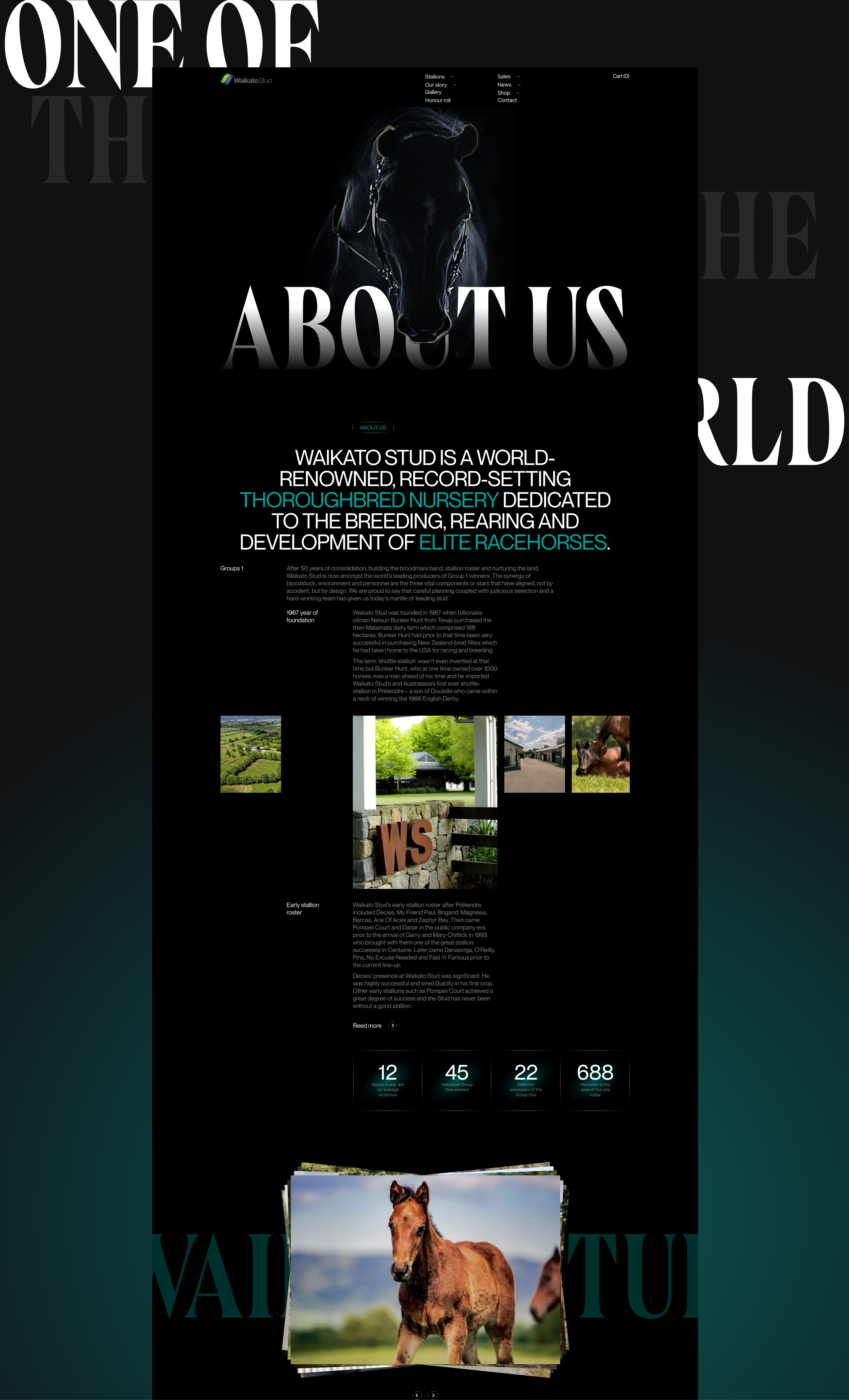 Waikato Stud-Корпоративный вебсайт — Изображение №14 — Интерфейсы на Dprofile
