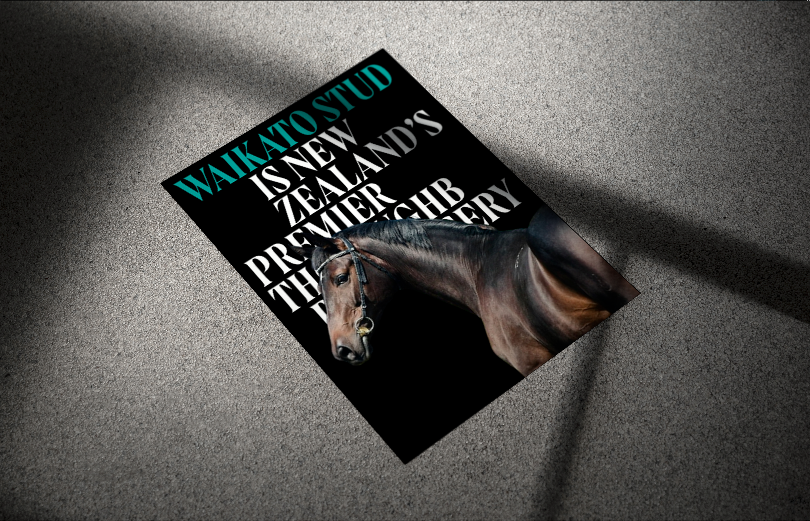 Waikato Stud-Корпоративный вебсайт — Изображение №13 — Интерфейсы на Dprofile