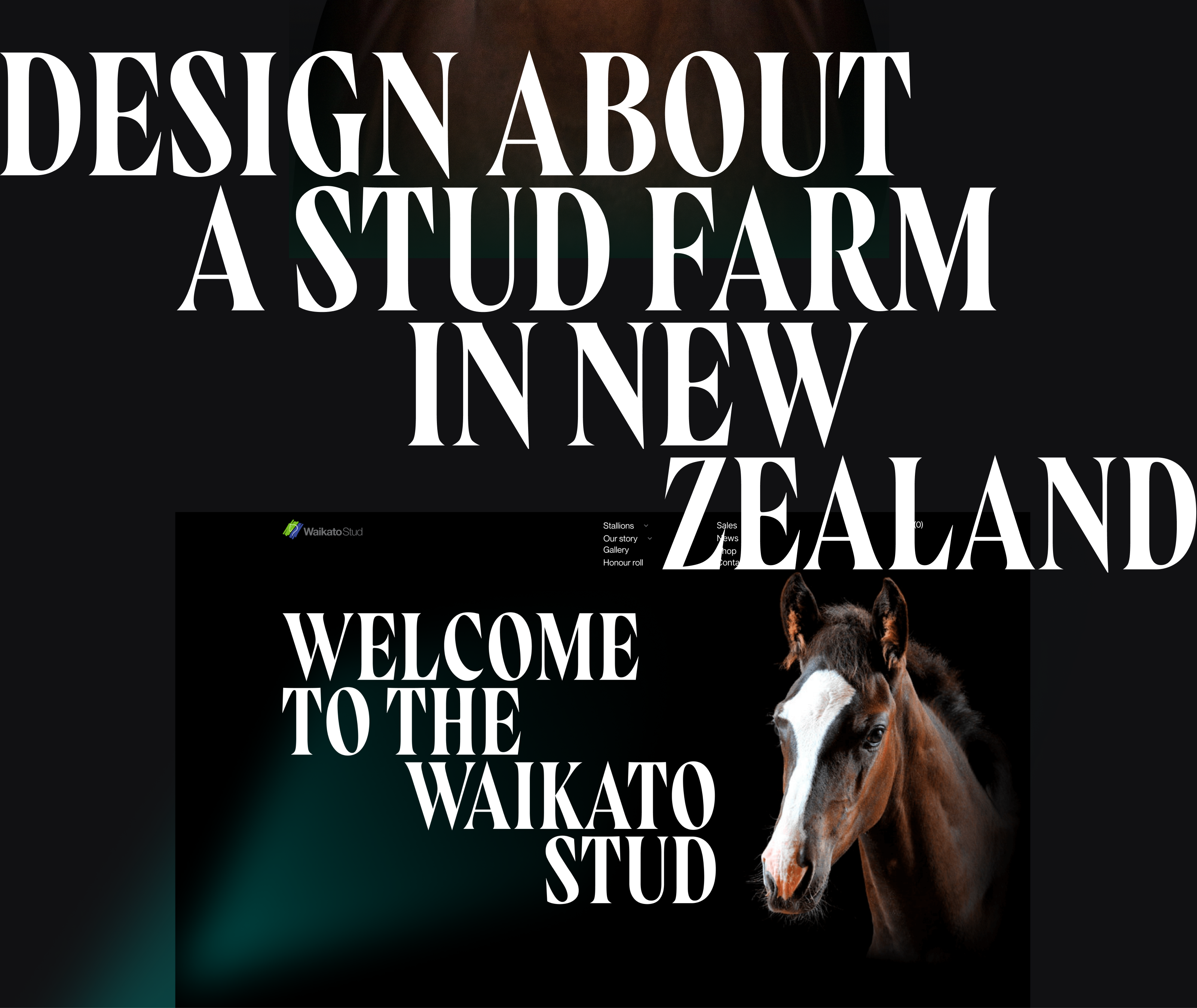 Waikato Stud-Корпоративный вебсайт — Изображение №2 — Интерфейсы на Dprofile