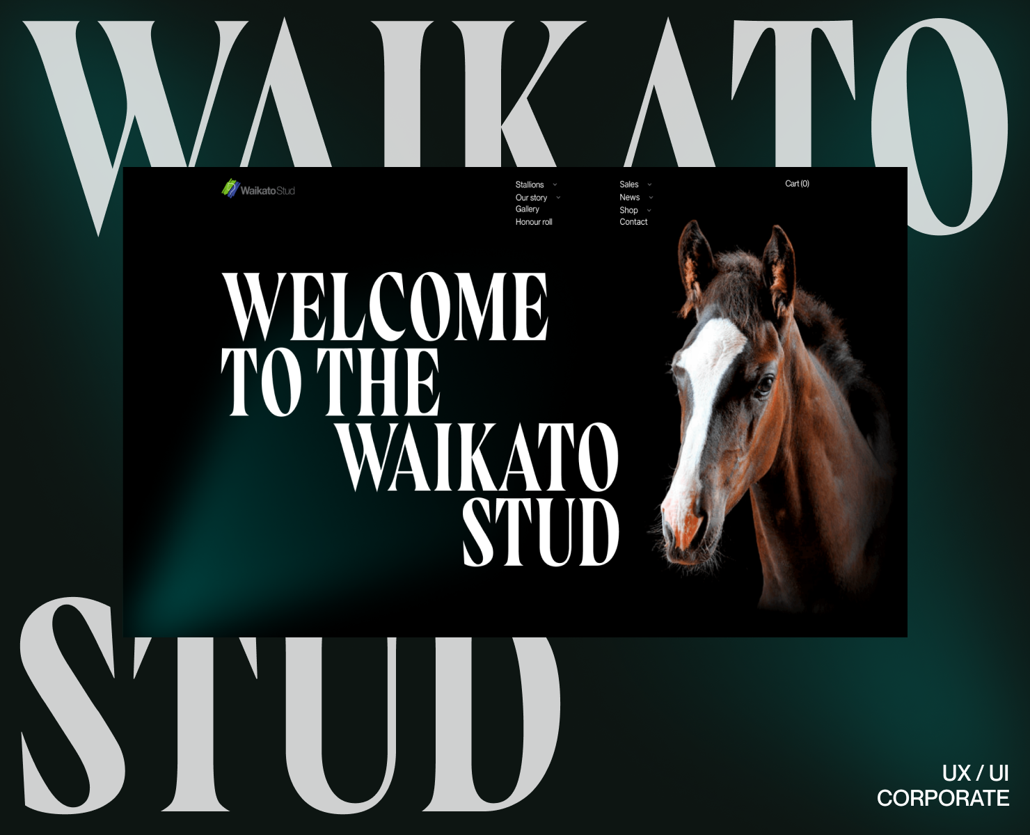 Waikato Stud-Корпоративный вебсайт — Интерфейсы на Dprofile