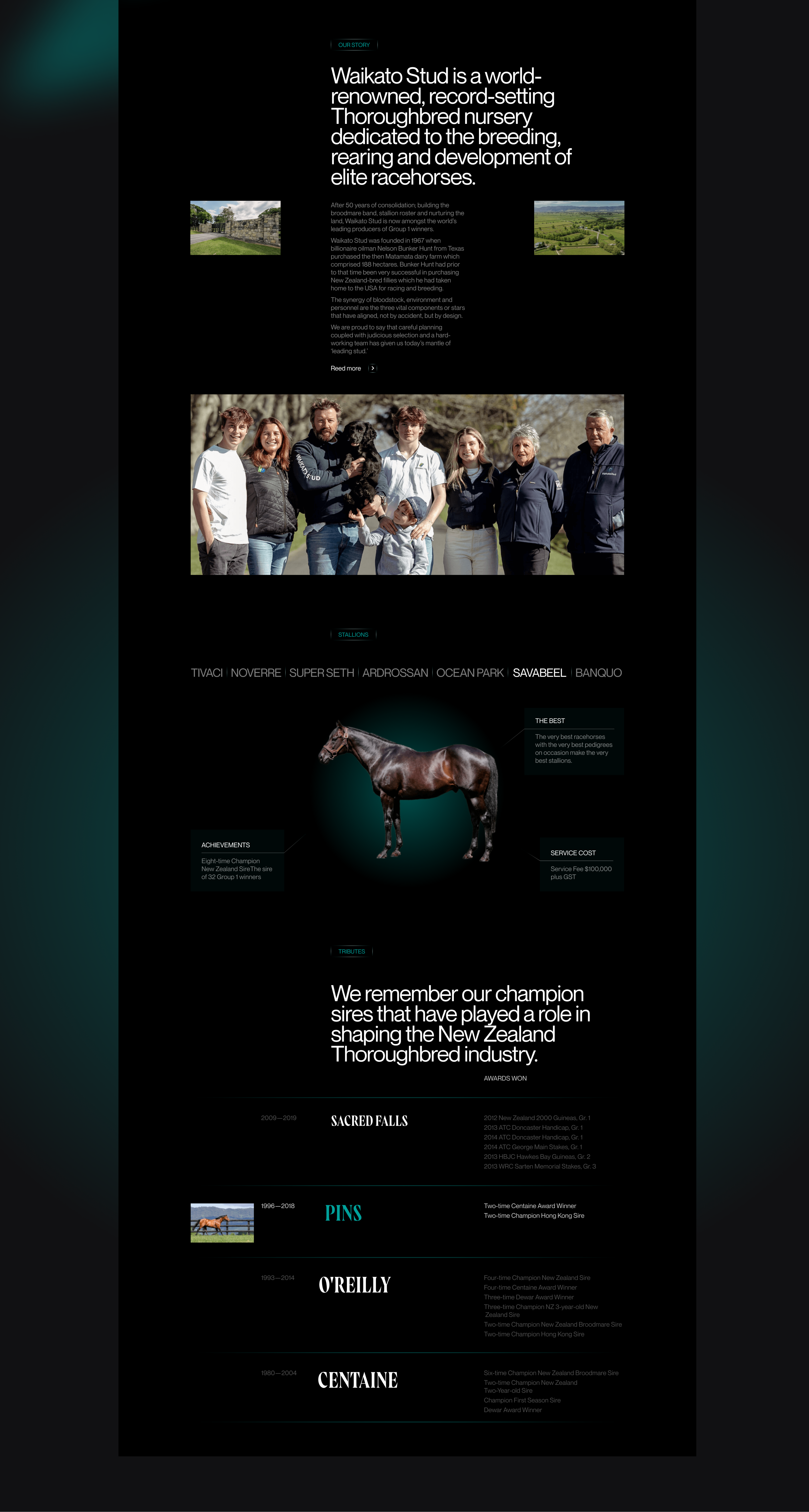 Waikato Stud-Корпоративный вебсайт — Изображение №3 — Интерфейсы на Dprofile