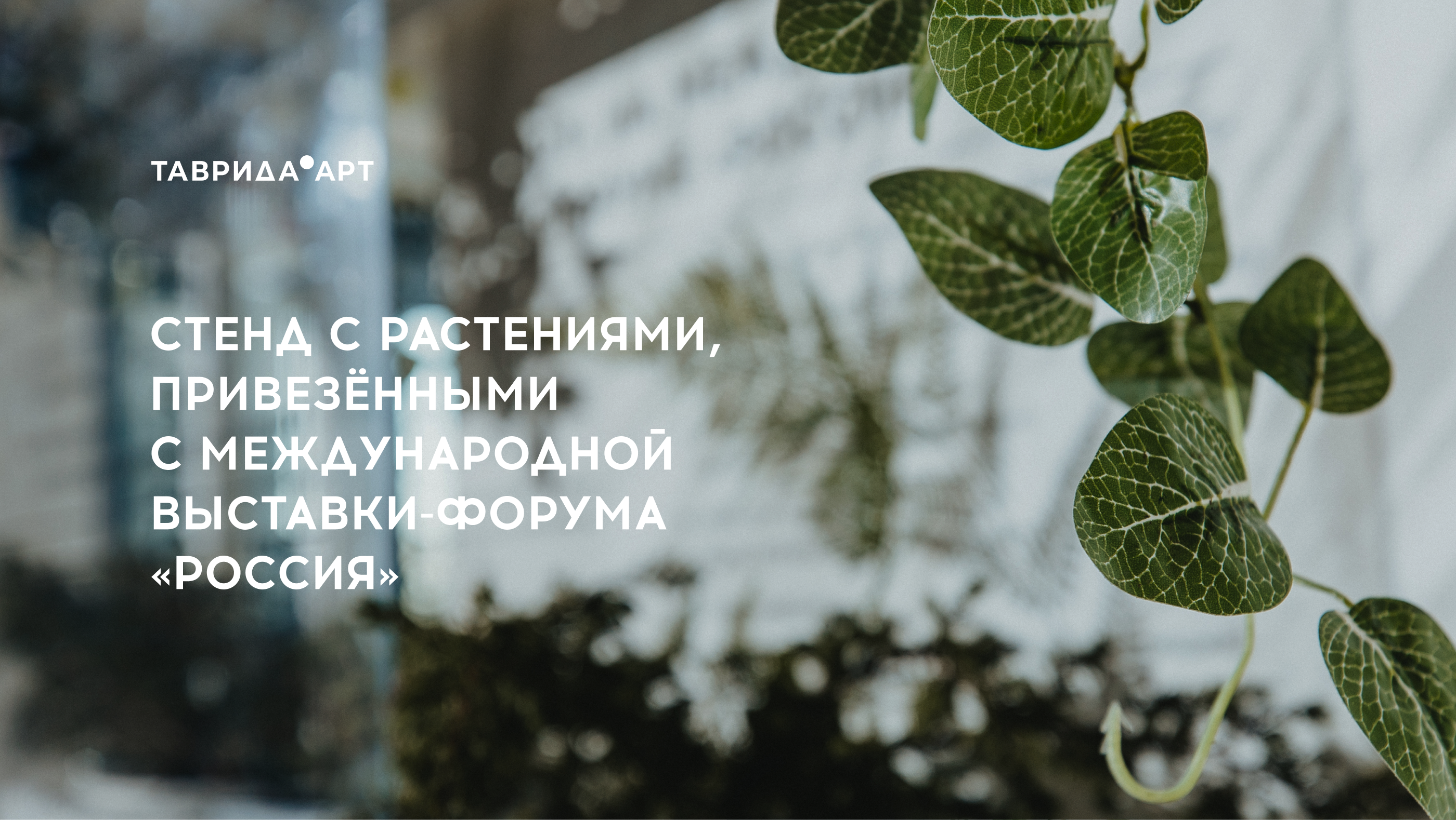 Стенд с растениями // Таврида.АРТ — Изображение №1 — Иллюстрация, 3D на Dprofile